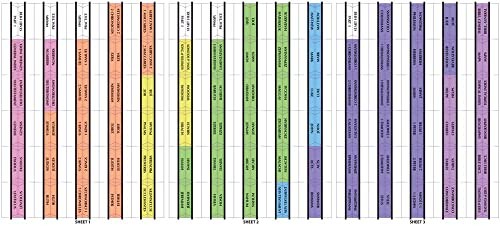 Tabbies Rainbow Catholic Bible Indexing Tabs, Old & New Testaments + Catholic