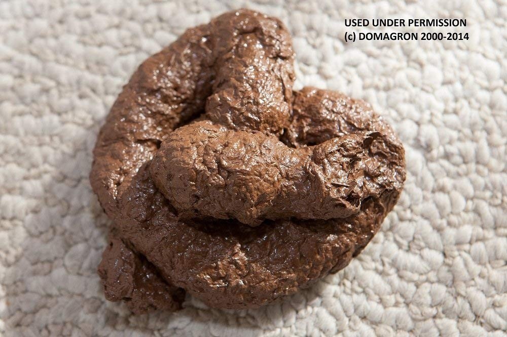 2 HIGH QUALITY Fake Dog Poop Poo Realistic Doggy Doo Doo Dirt Joke Gag Crap Pile