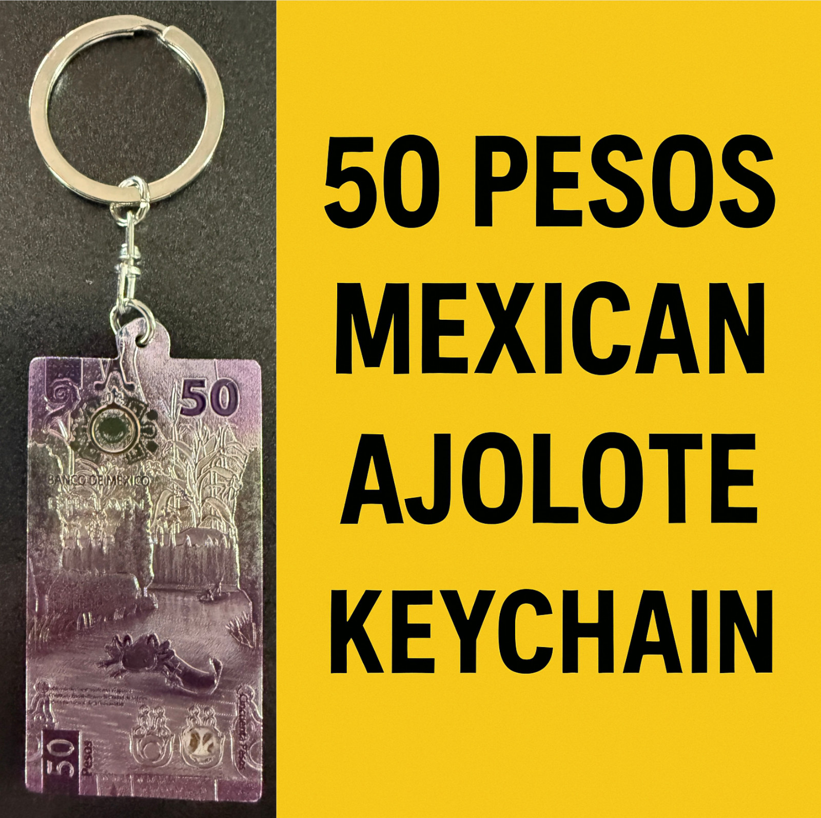 CLEARANCE Mexico keychain ajolote axolotl (50 pesos P-133 design) P20P