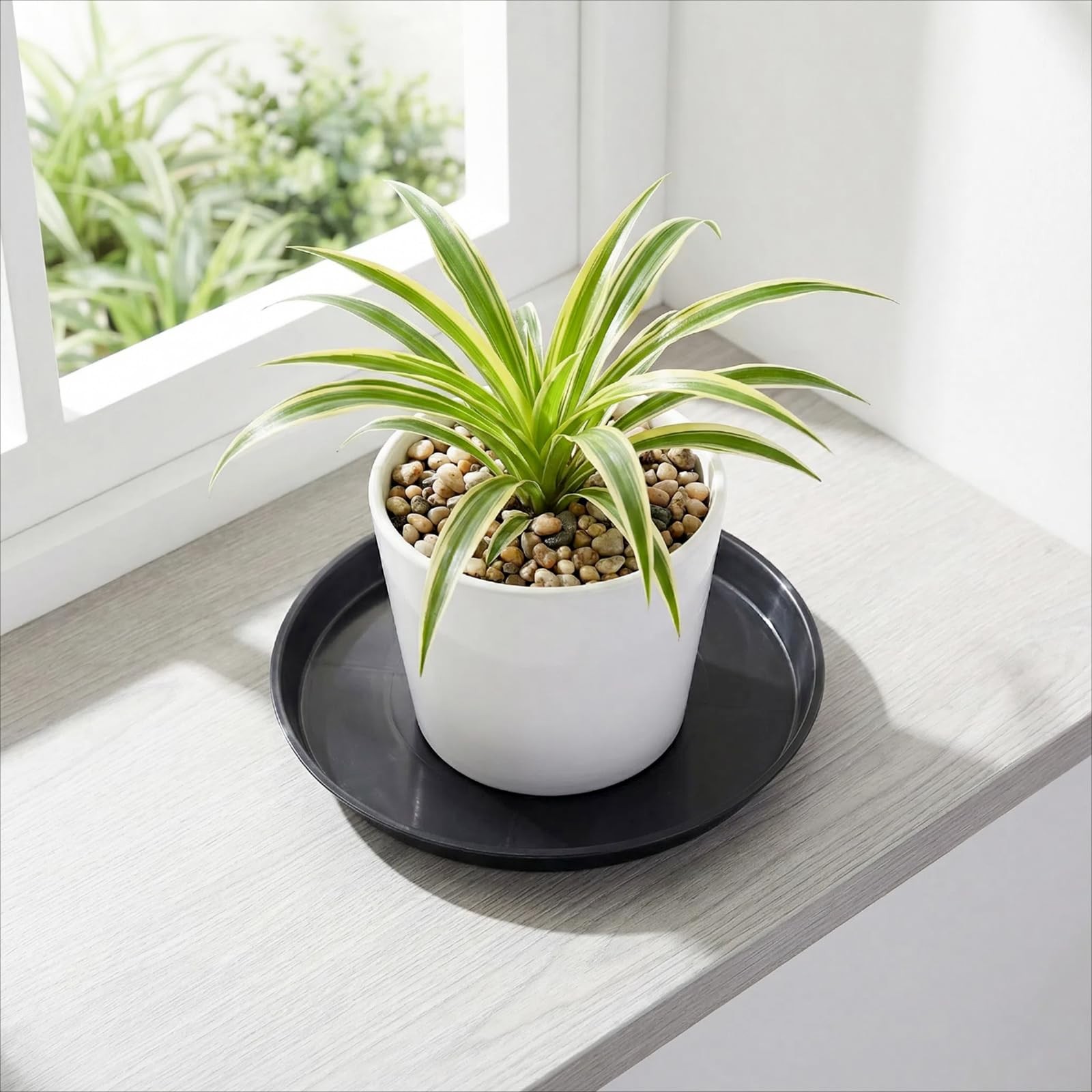 Tulpeed 30 Pack Plant Saucer 5 Inches Trays for Pots 5 inch, Black