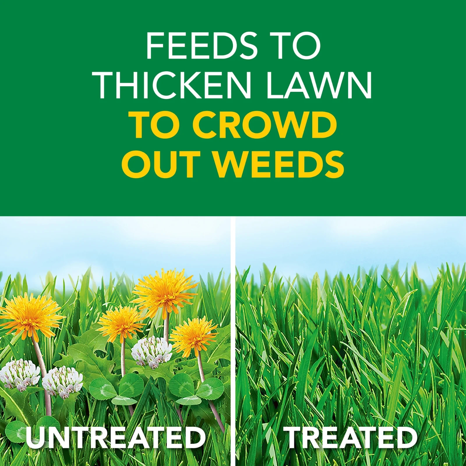WEED & FEED FERTILIZER 14000 SQ FT 40 LB