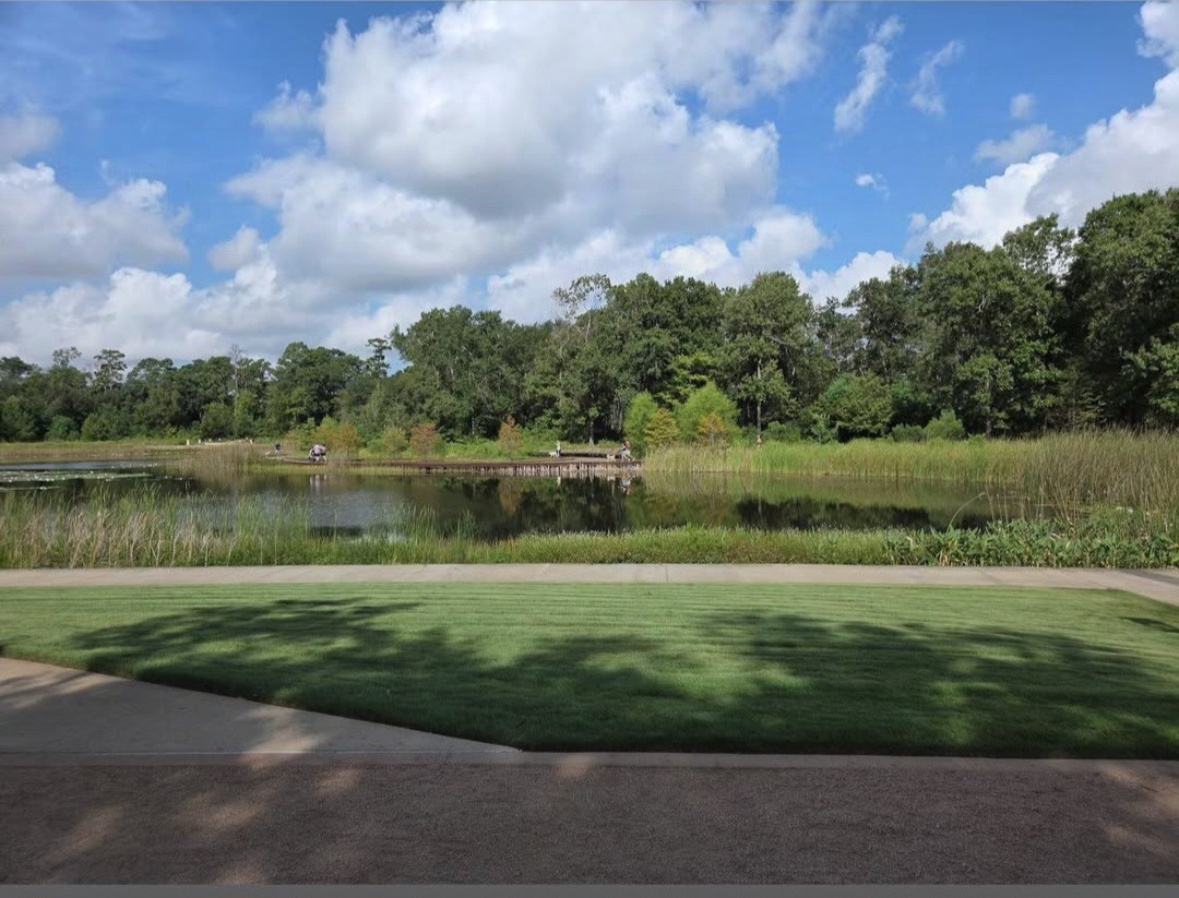 Digital Image Photo Wallpaper Background Desktop Pond Landscape! Only 0.99 Cent!