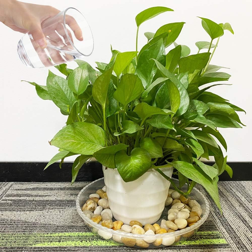 JOYSEUS Plant Saucers – 6 Pack of 14 Inch – Durable Plastic 14 Inch, Clear