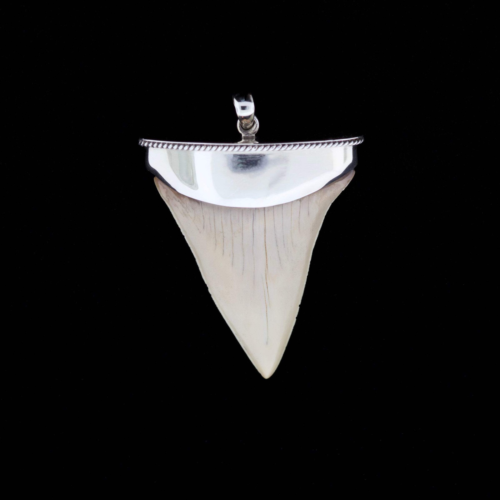 2-1/4″ Fossil Mako Shark Tooth Pendant | Sterling Silver Cap