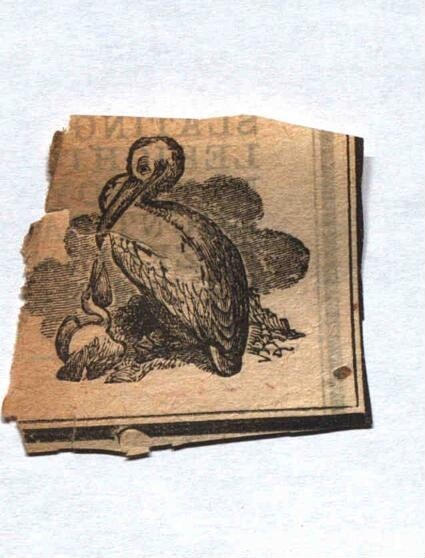 1867 Starkey family Bible (Bible Rescue #469)