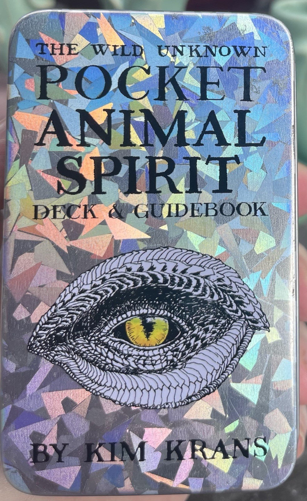 The Wild Unknown Pocket Animal Spirit Deck (Hardback or Cased Book)