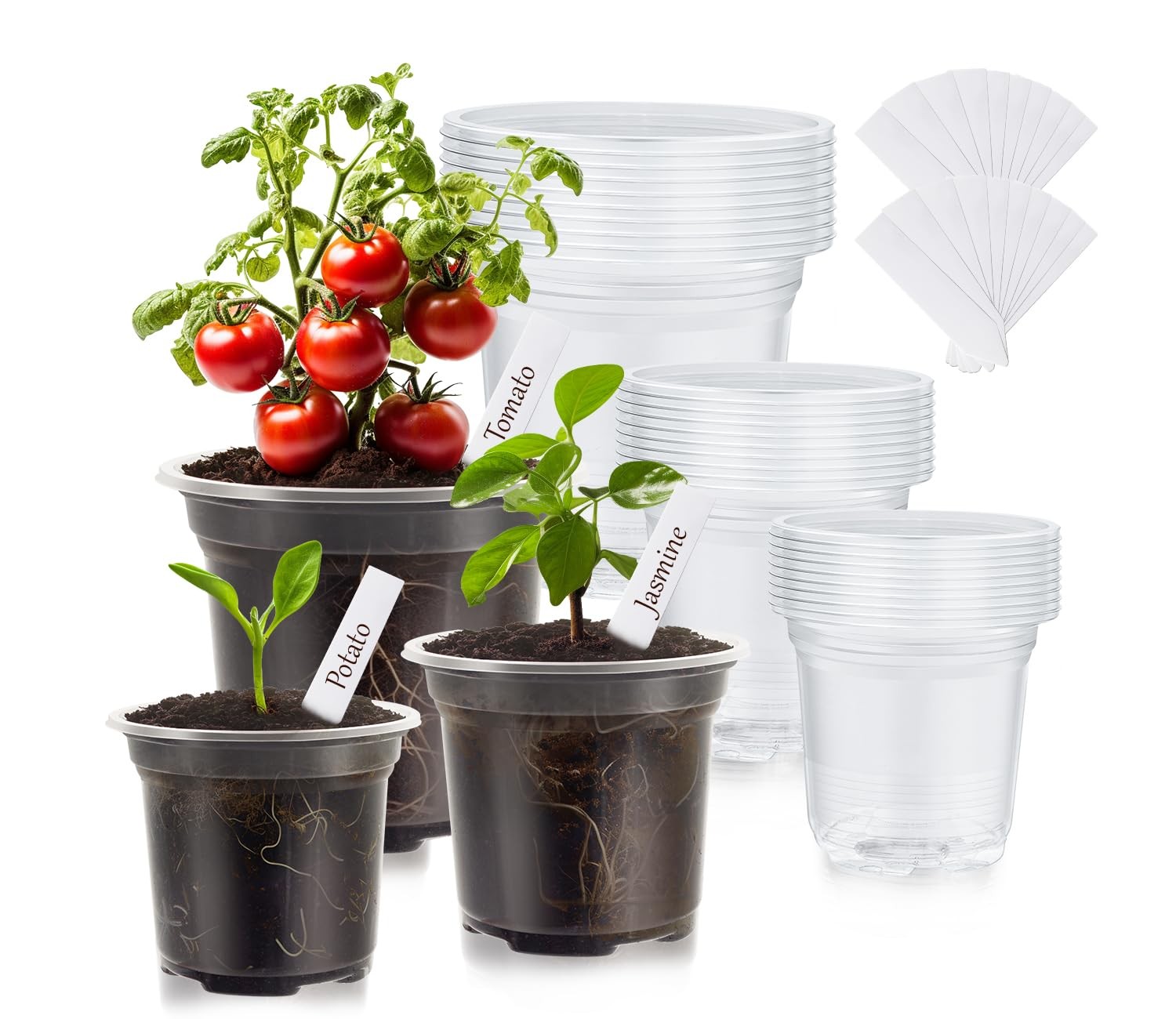 WandaQueen 30 Packs Clear Nursery Pots for Plants, 3.5/4/5 in-30p,
