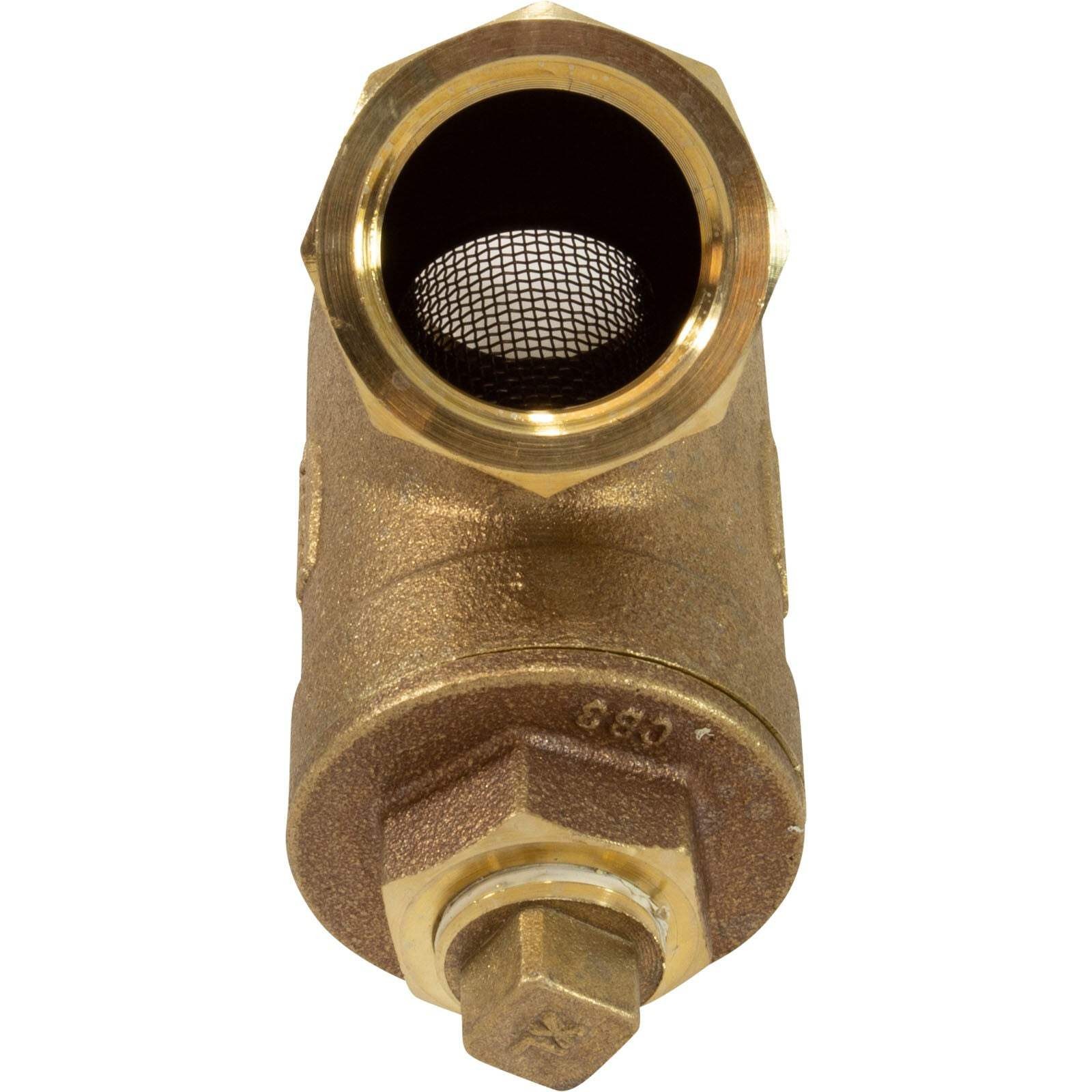 Jandy Pro Series 1″ Y Strainer : BRY