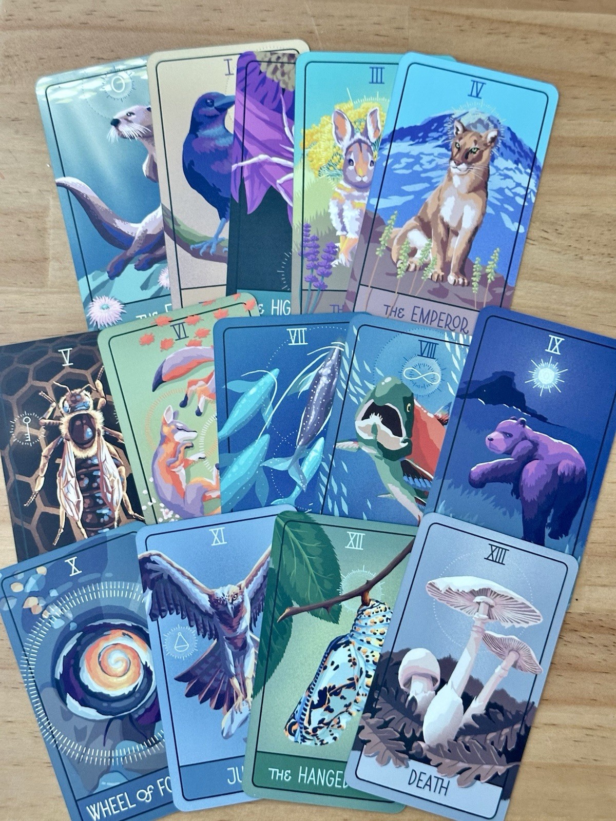 Pacific Northwest Tarot Brendan Marnell 2nd ed 78 Card Deck Guidebook Complete