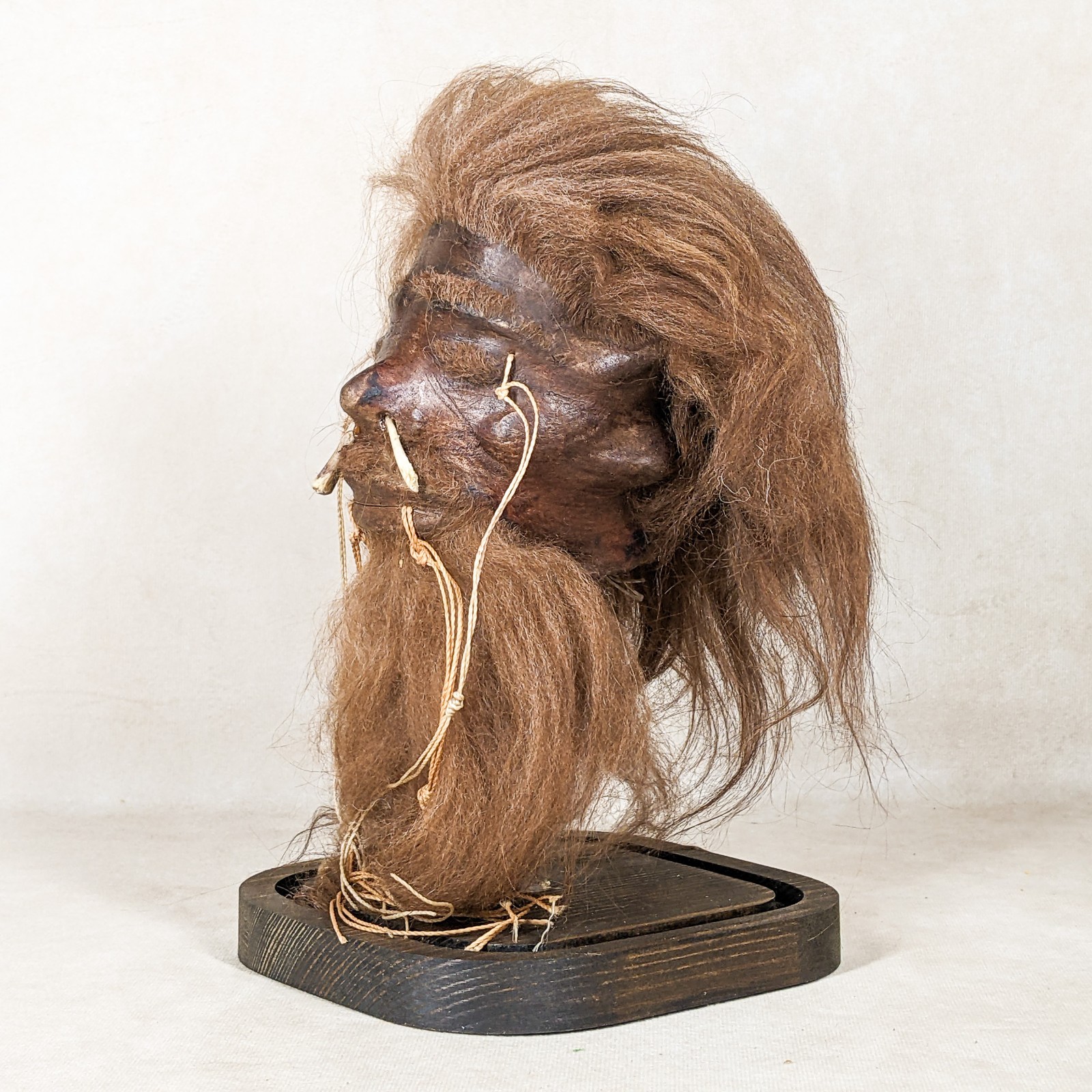 Shrunken Head reproduction Tsantsa Tribesmen Oddities Curiosity glass dome gift