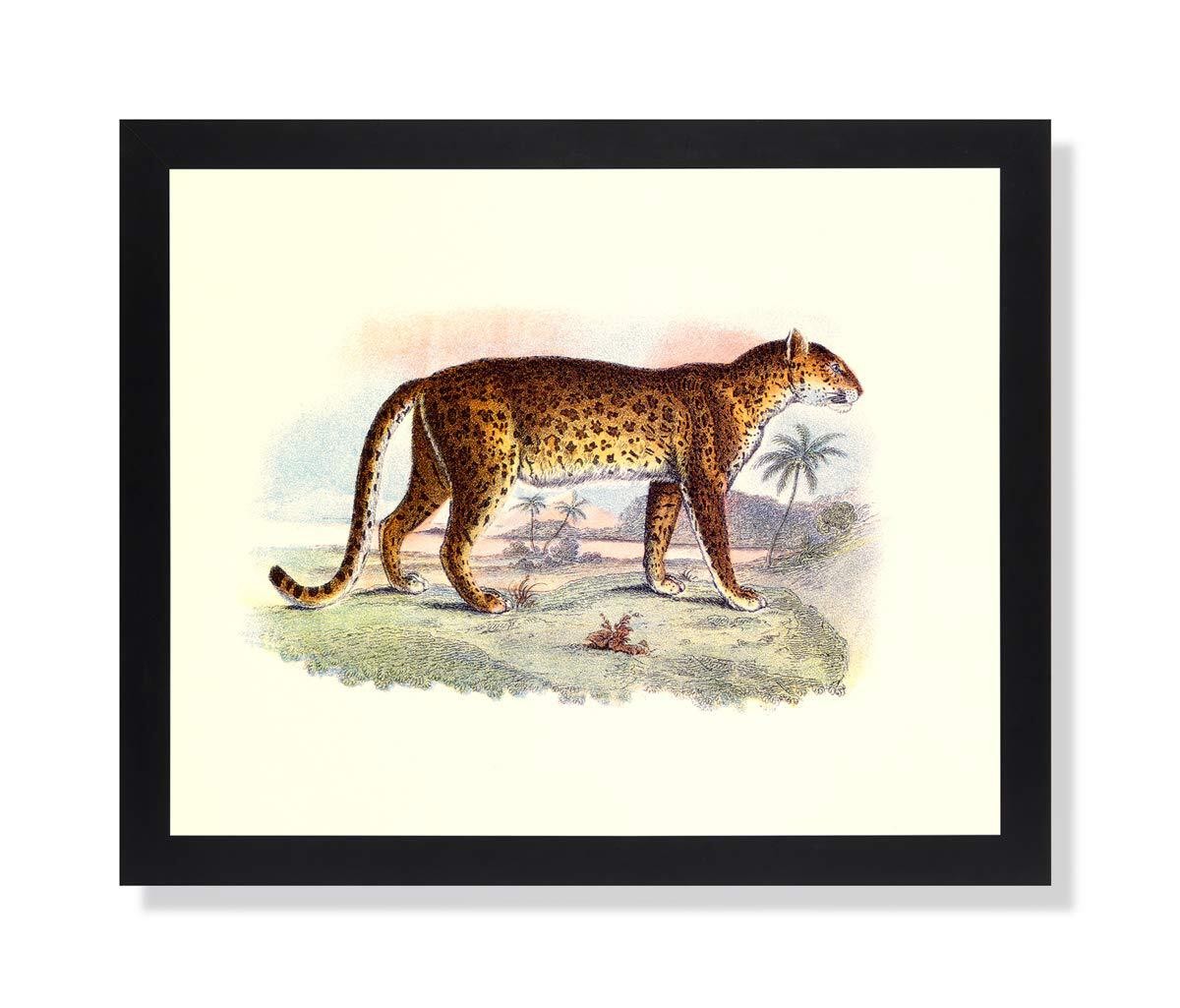 Tropical Leopard Cat Standing Animal Wildlife Picture Black Framed Art Print