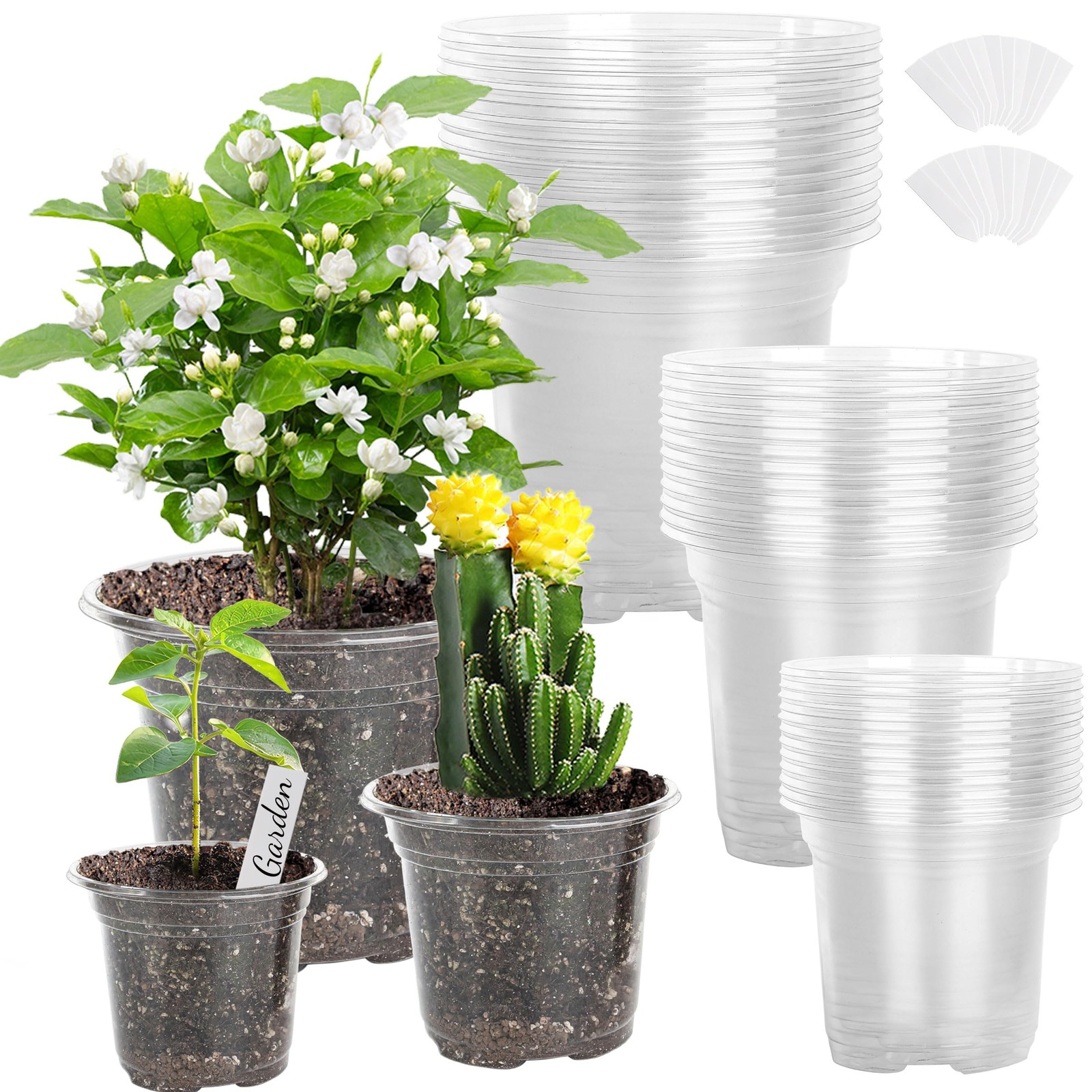 LOCONHA Small Plastic Plant Nursery Pot/Pots (36 Packs 5/4/3.5 Inch Clear
