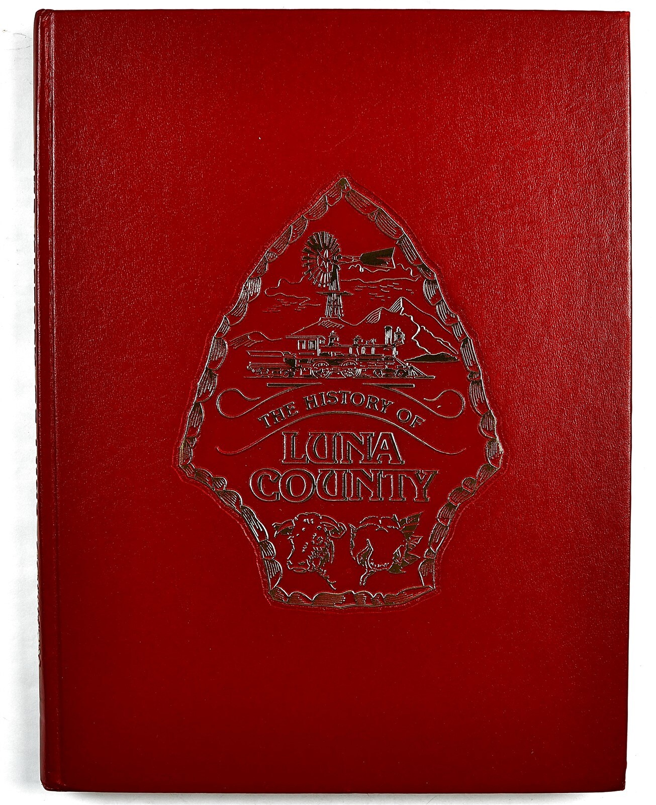 Luna County, New Mexico Deming Columbus Keeler Farm NM Family History Book