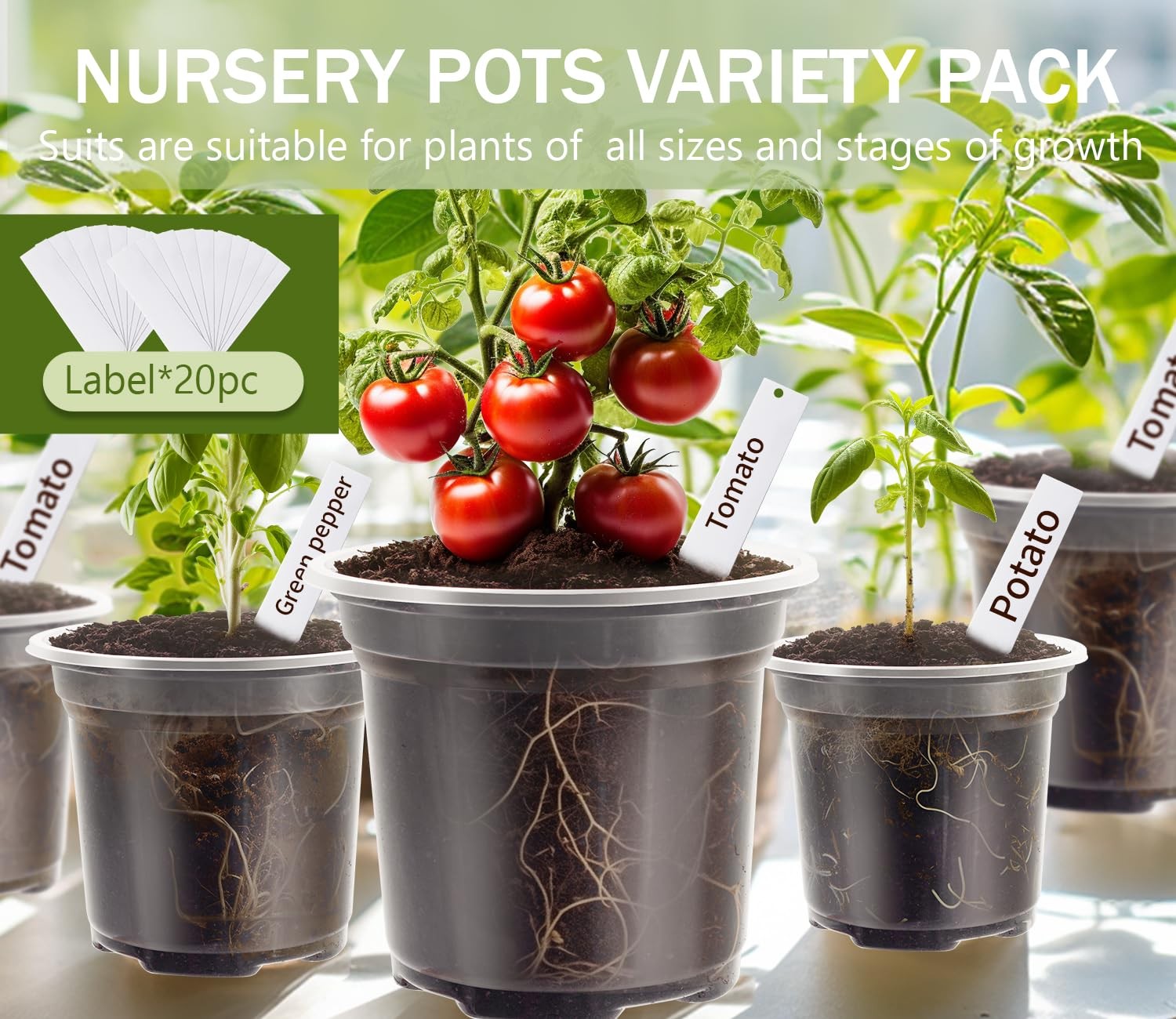 WandaQueen 30 Packs Clear Nursery Pots for Plants, 3.5/4/5 in-30p,