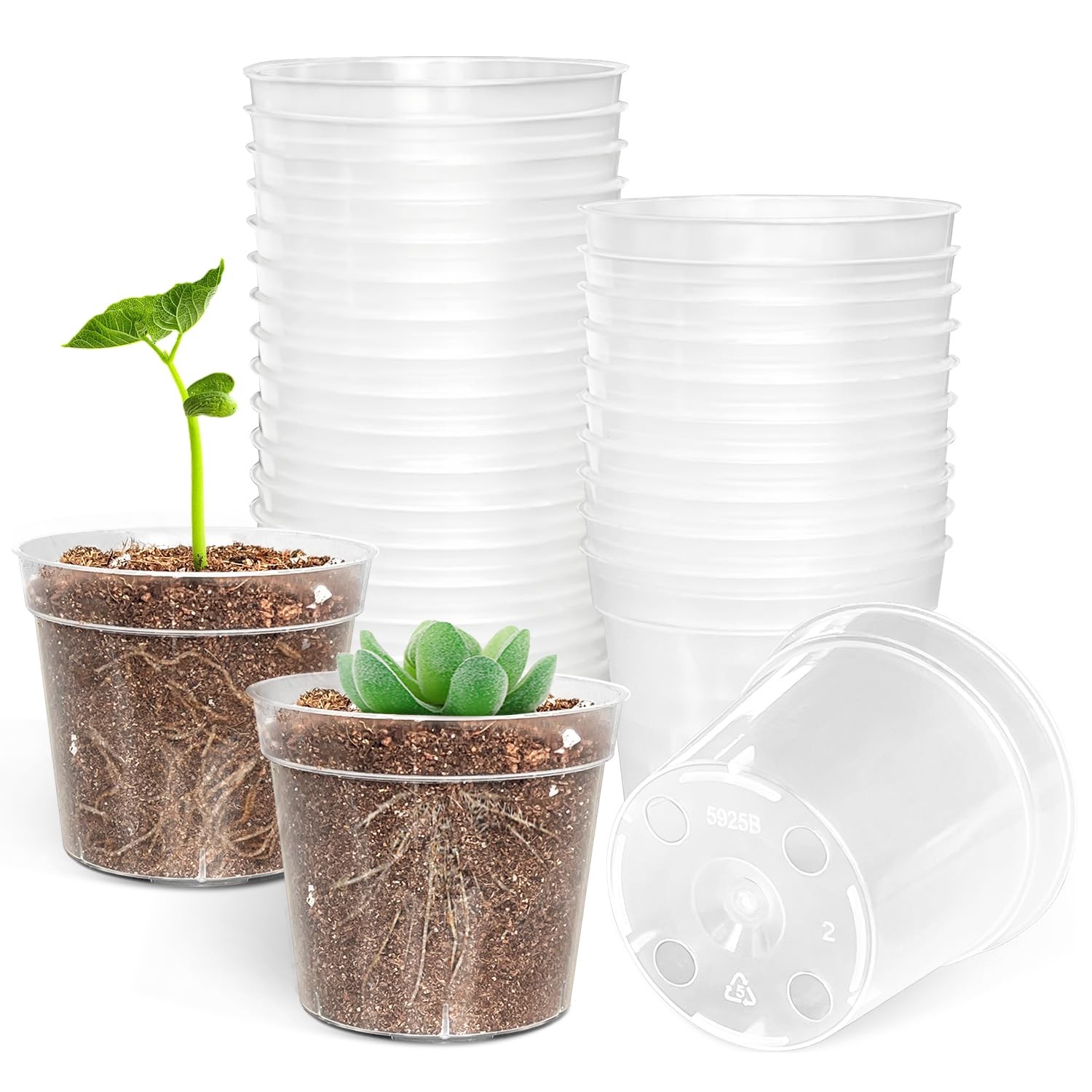 BTPLASTIK 50 Pack 2.5 Inch Clear Nursery Pots for Plants, Inch-50P,
