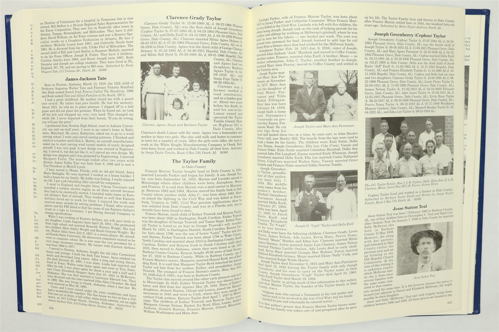 Dale County, Alabama Family History Book Ozark Daleville Midland City Newton AL