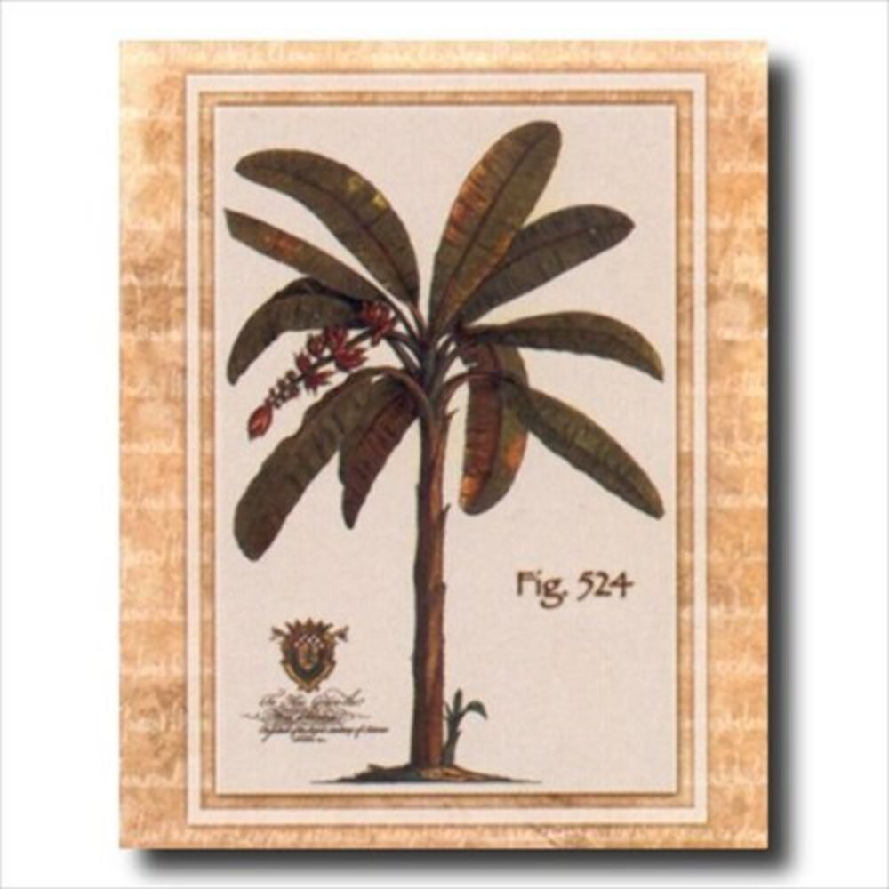 Tropical Palm Tree Fig 524 Wall Picture 16×20 Art Print