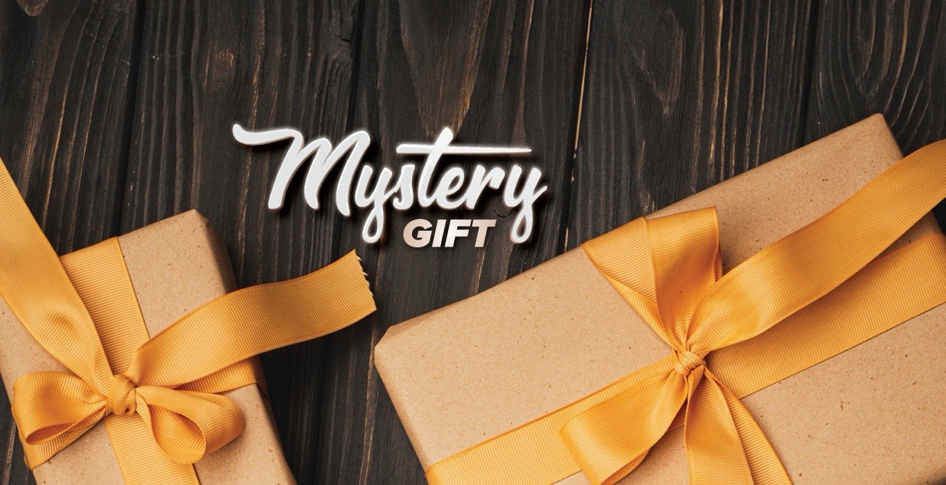 Mystery Gift Random (1-2 Items Inside) New In Box Gift Pack for Kids and Adults