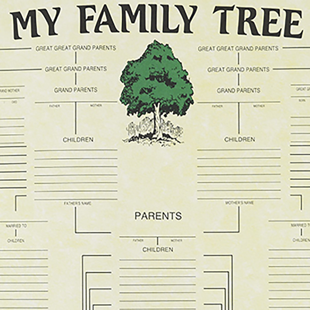 Paper Family History Genealogy Tree Genetic Ancestry Chart 7 Generations Poster