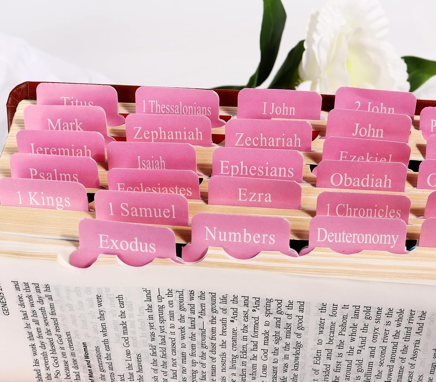 Pink Bible Tabs for Men Paper Index Tabs for Scripture Study & Chapter