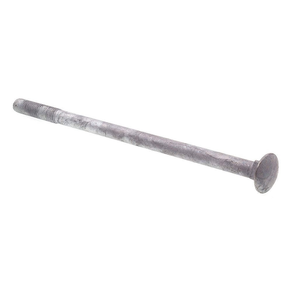 Prime-Line 9064901 Carriage Bolts, 1/2 in.-13 X 10 in., A307 Grade A Hot Dip Gal