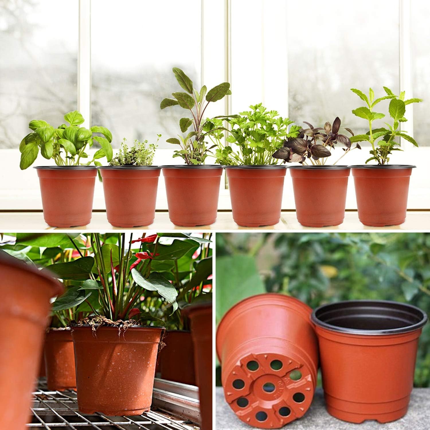 Augshy 130 Packs 6 Inches Plastic Plant Nursery Pots, Seed 6 Inches, Red