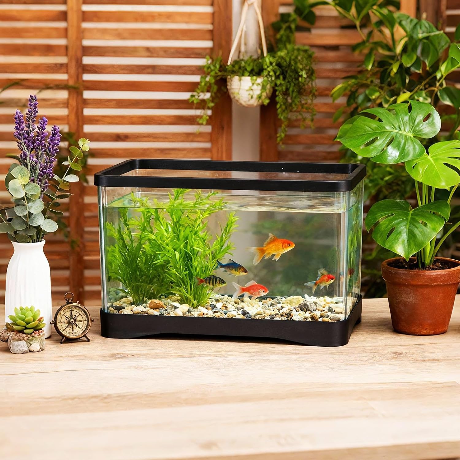 2 Gallon Plastic Rectangular Fish Tank, Aquarium for Betta Fish Reptiles…
