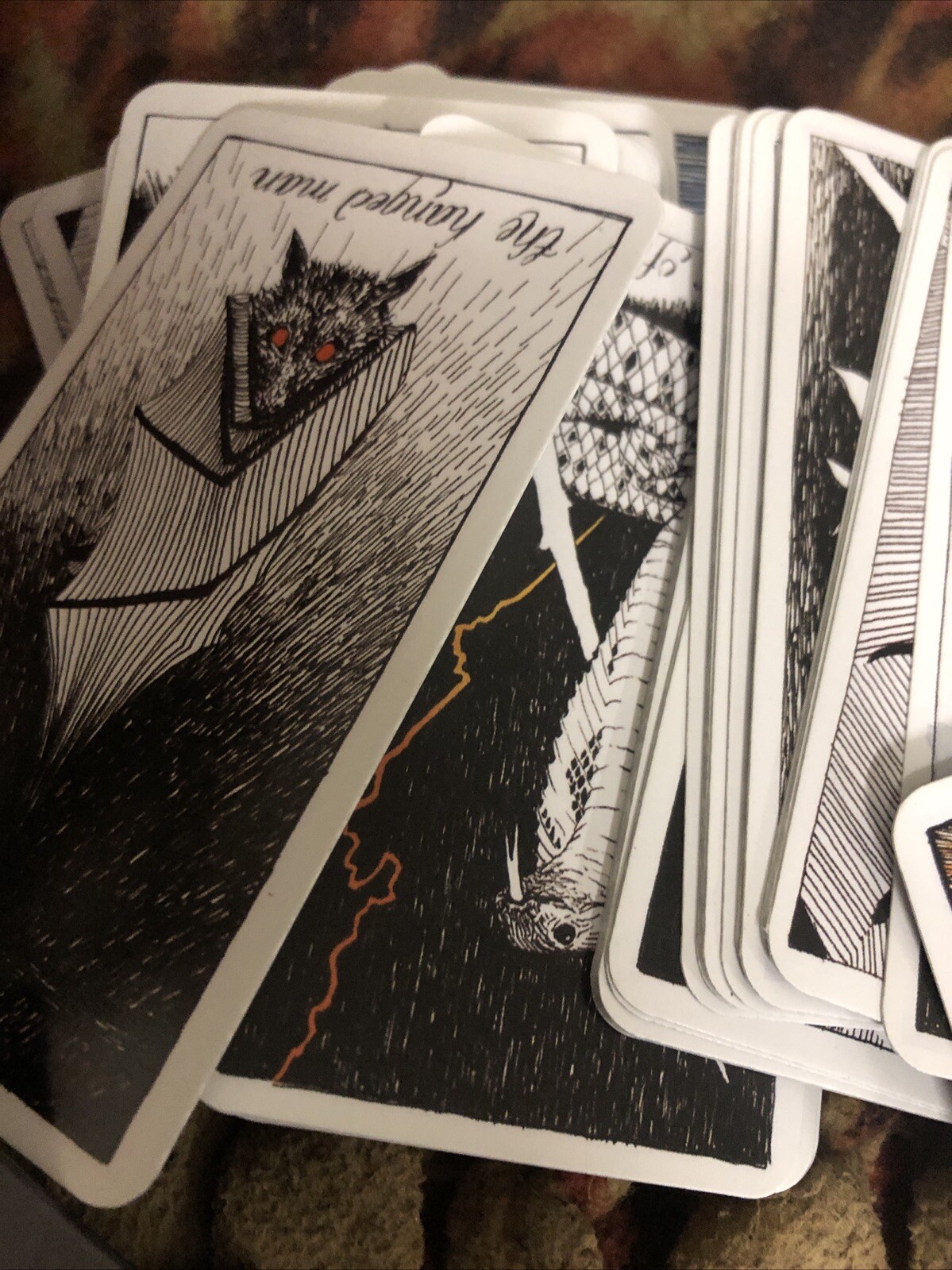Kim Krans The Wild Unknown Tarot Scan For Guidebook Esoterica Occult Magick