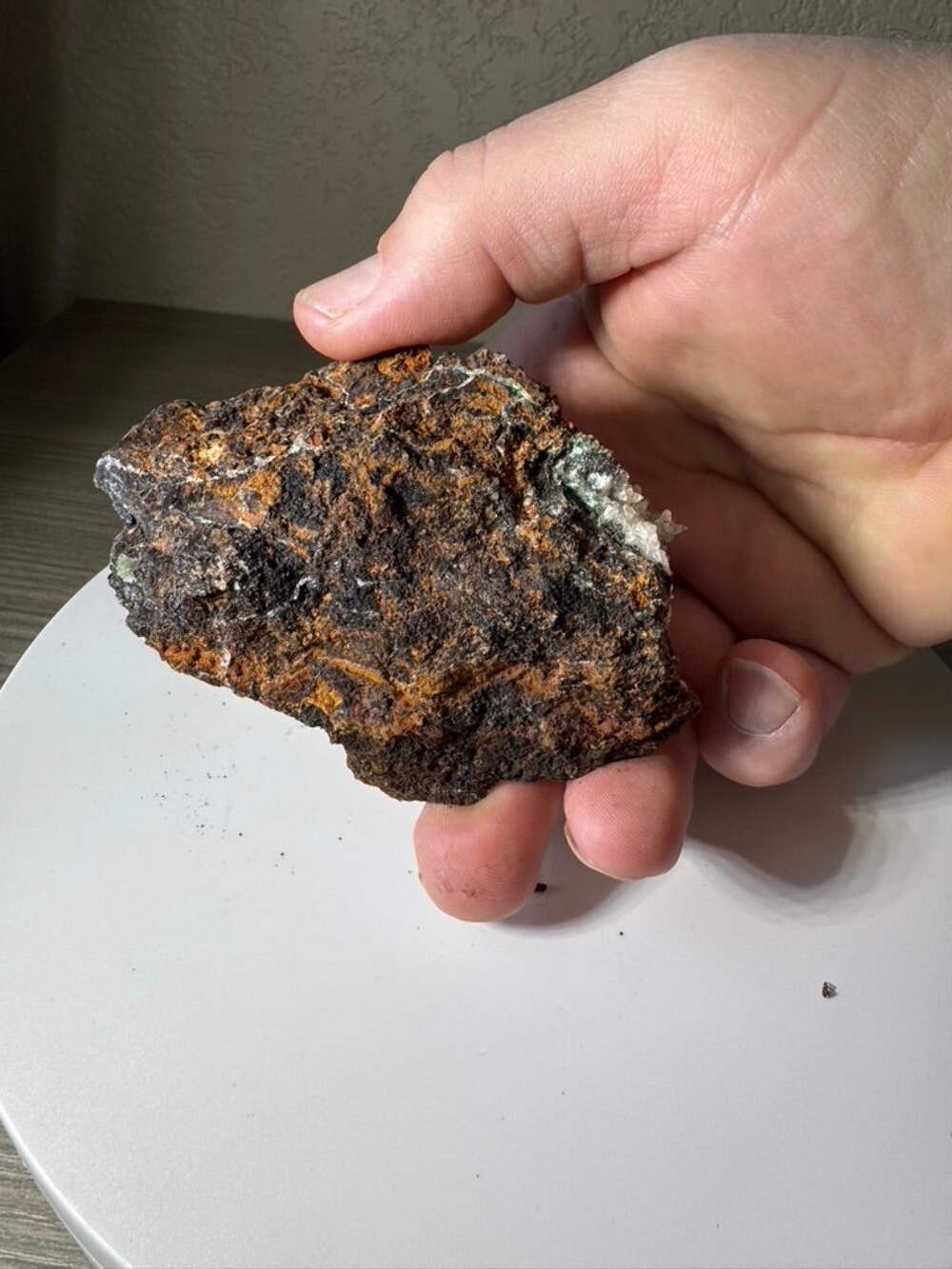 Conicalcite From La Ojuela Mine in Mapimi, Durango Mexico 124 Grams