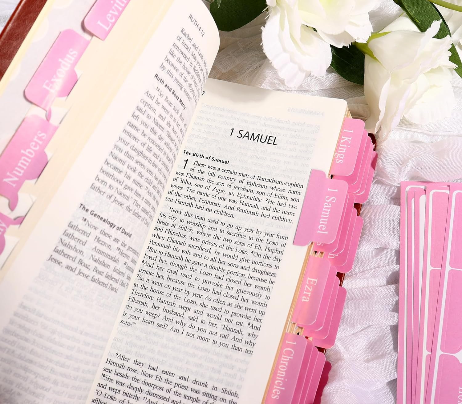 Pink Bible Tabs for Men Paper Index Tabs for Scripture Study & Chapter