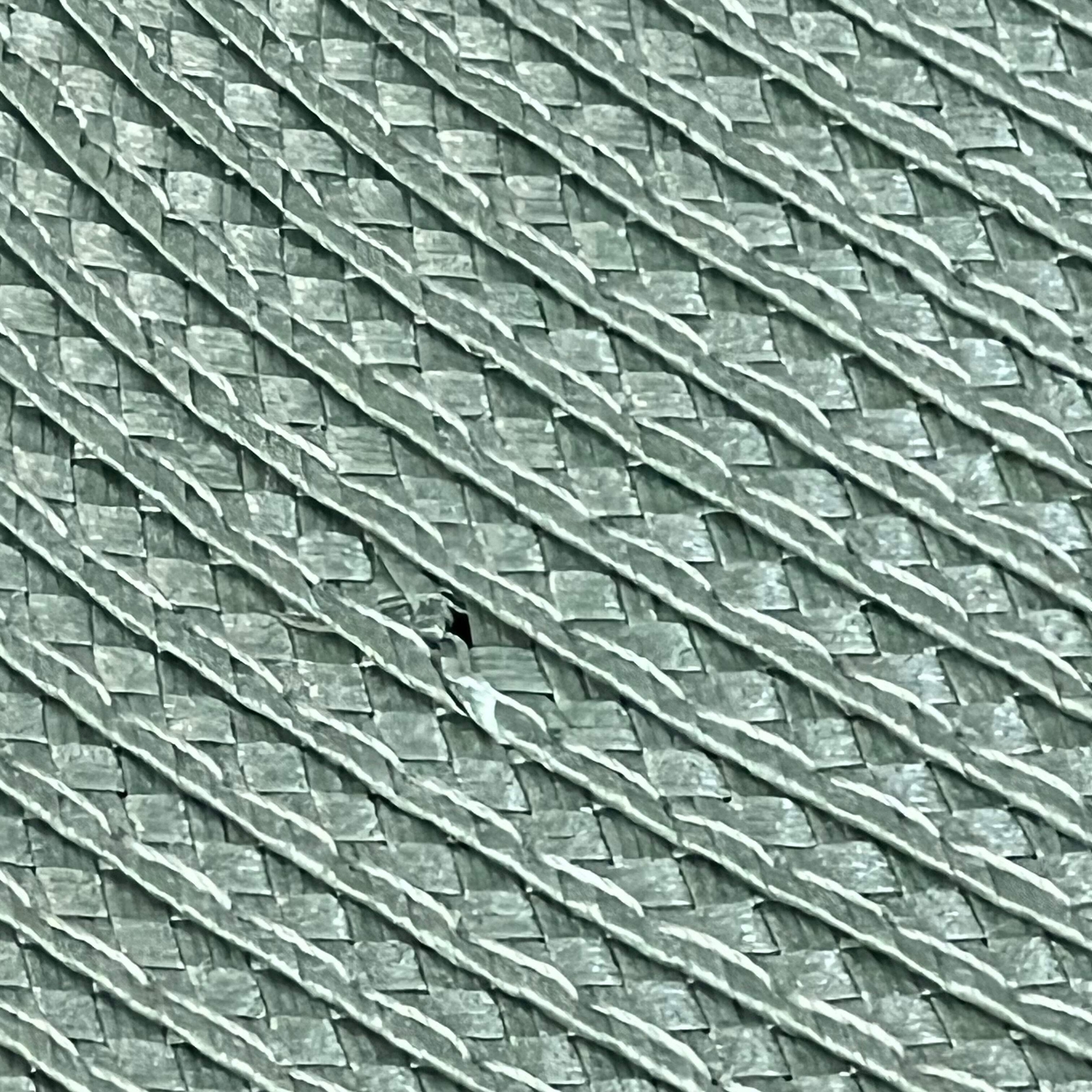 AHHFSMEI Sage Green Placemats Set of 8, Washable Woven Vinyl, 18×12 inches