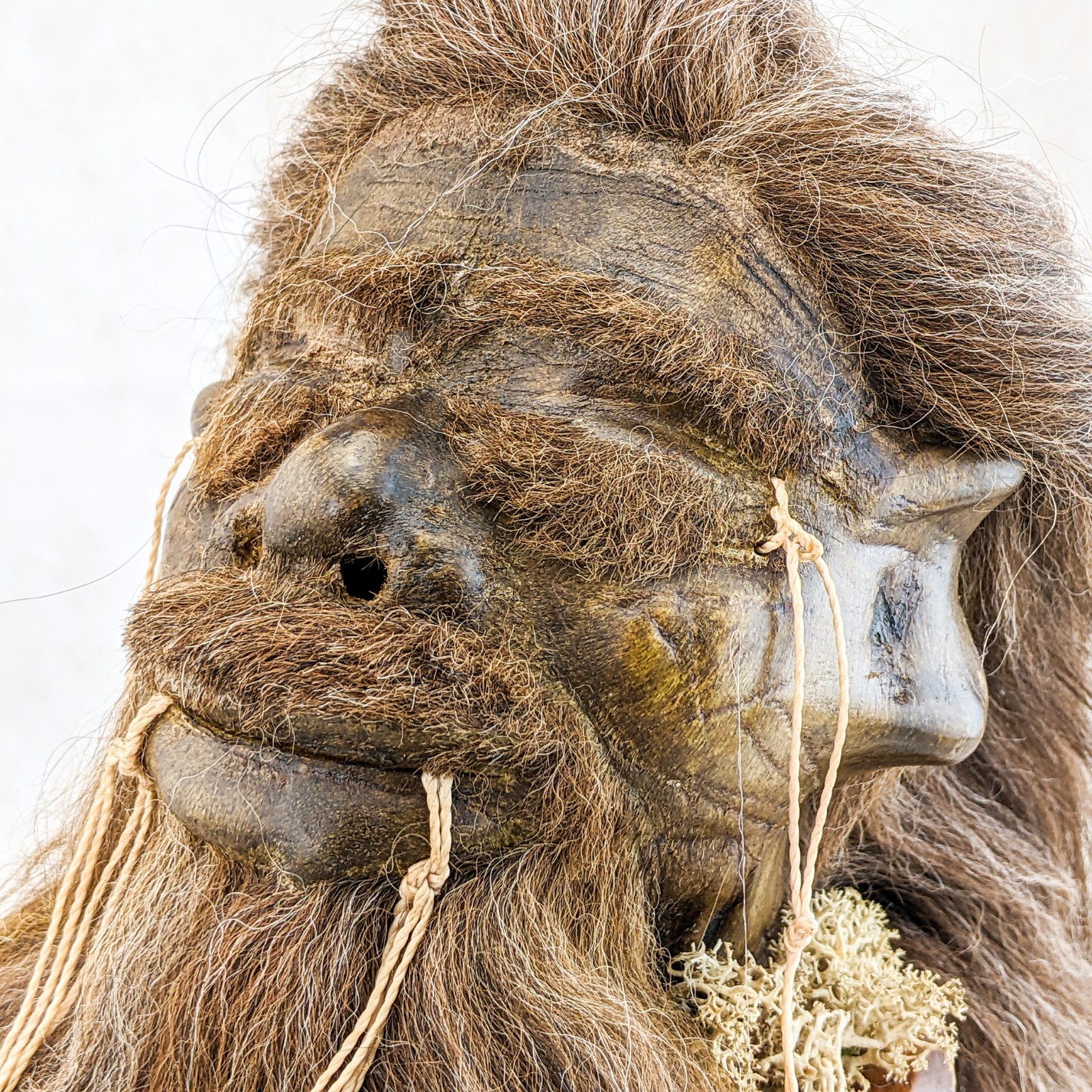 Shrunken Head reproduction Tsantsa by Local Tribesmen Oddities Curiosities gift