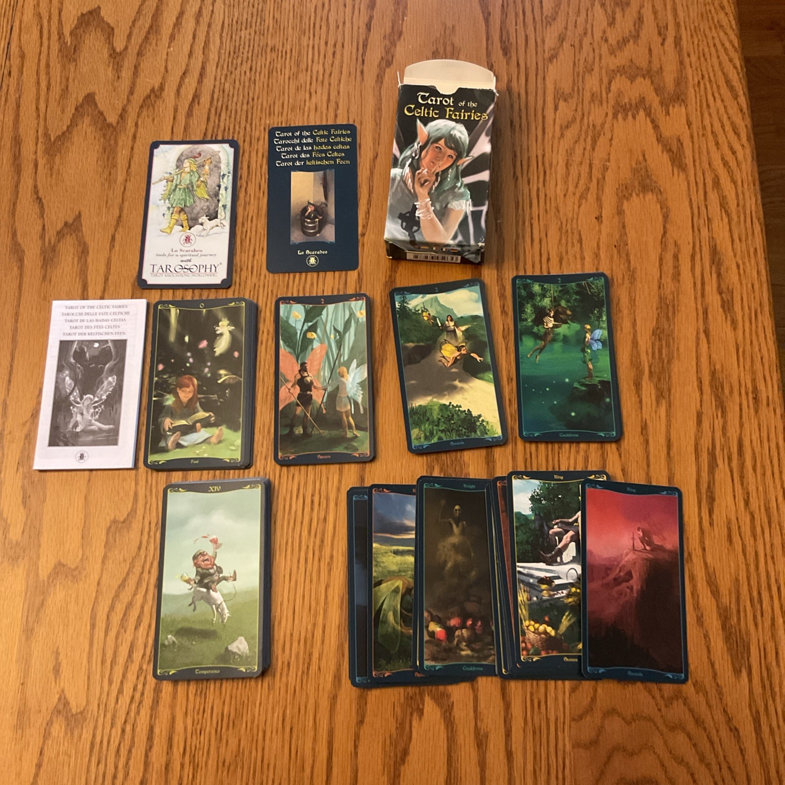 Tarot of the Celtic Faeries Tarot Deck Wiccan Pagan Metaphysical.
