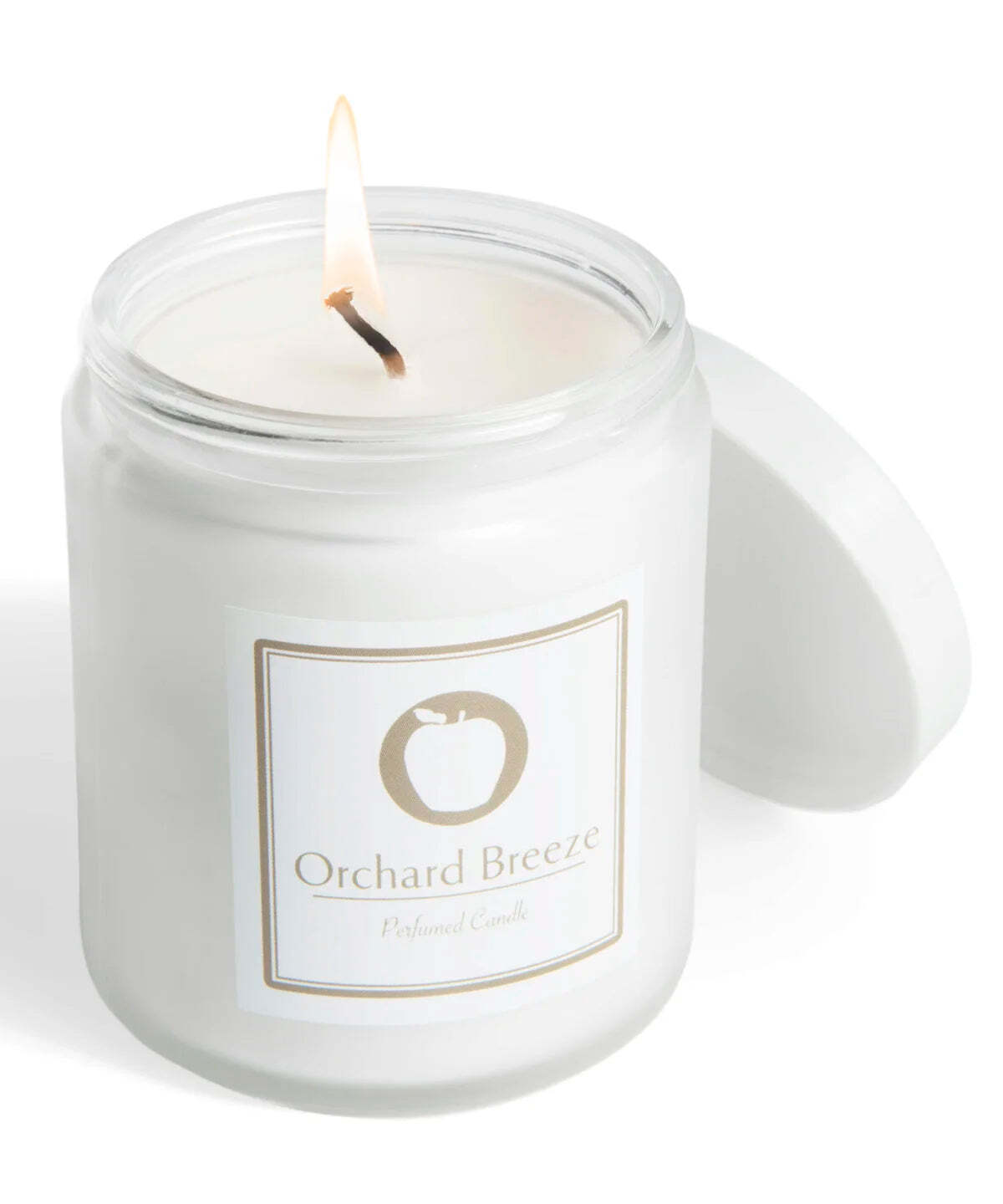 Stank Prank Candle