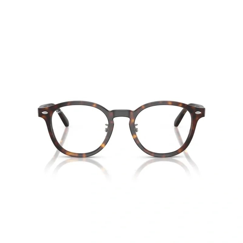 Ray-Ban Vista Eyeglasses Model 5443D VISTA Color 2012