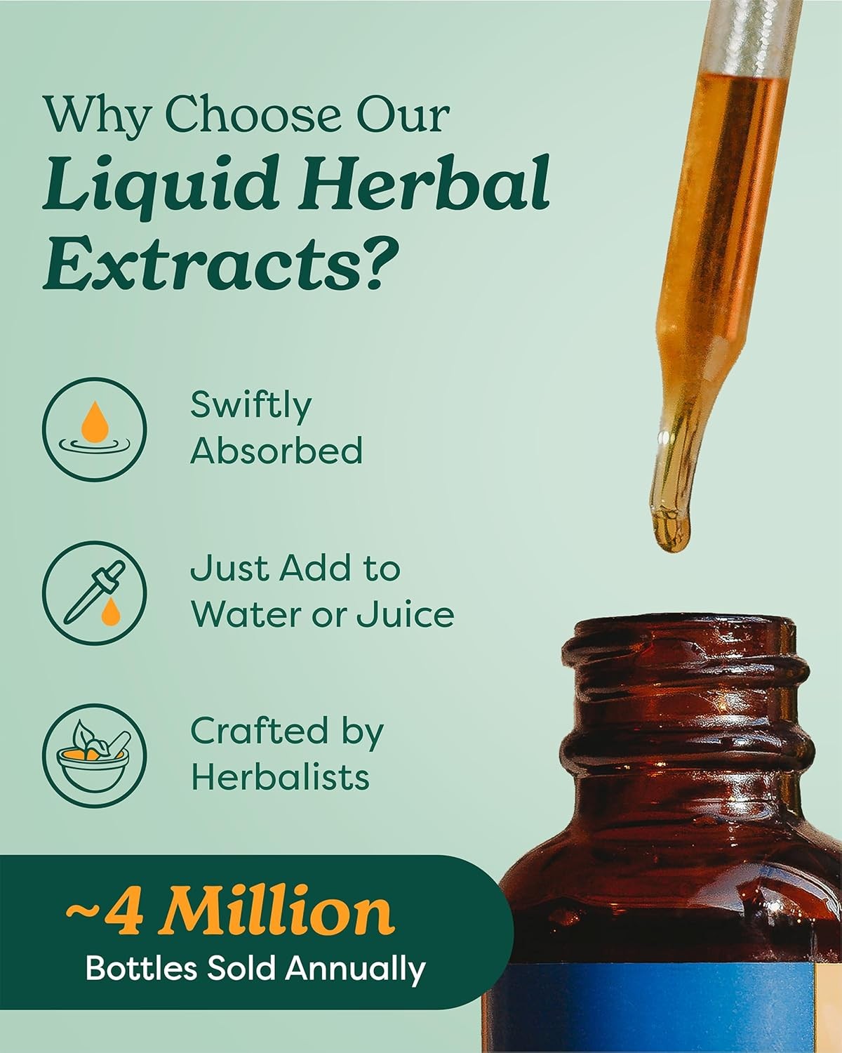 Herb Pharm Osha Root Liquid Extract for Respiratory 1 Fl Oz (Pack of 1)