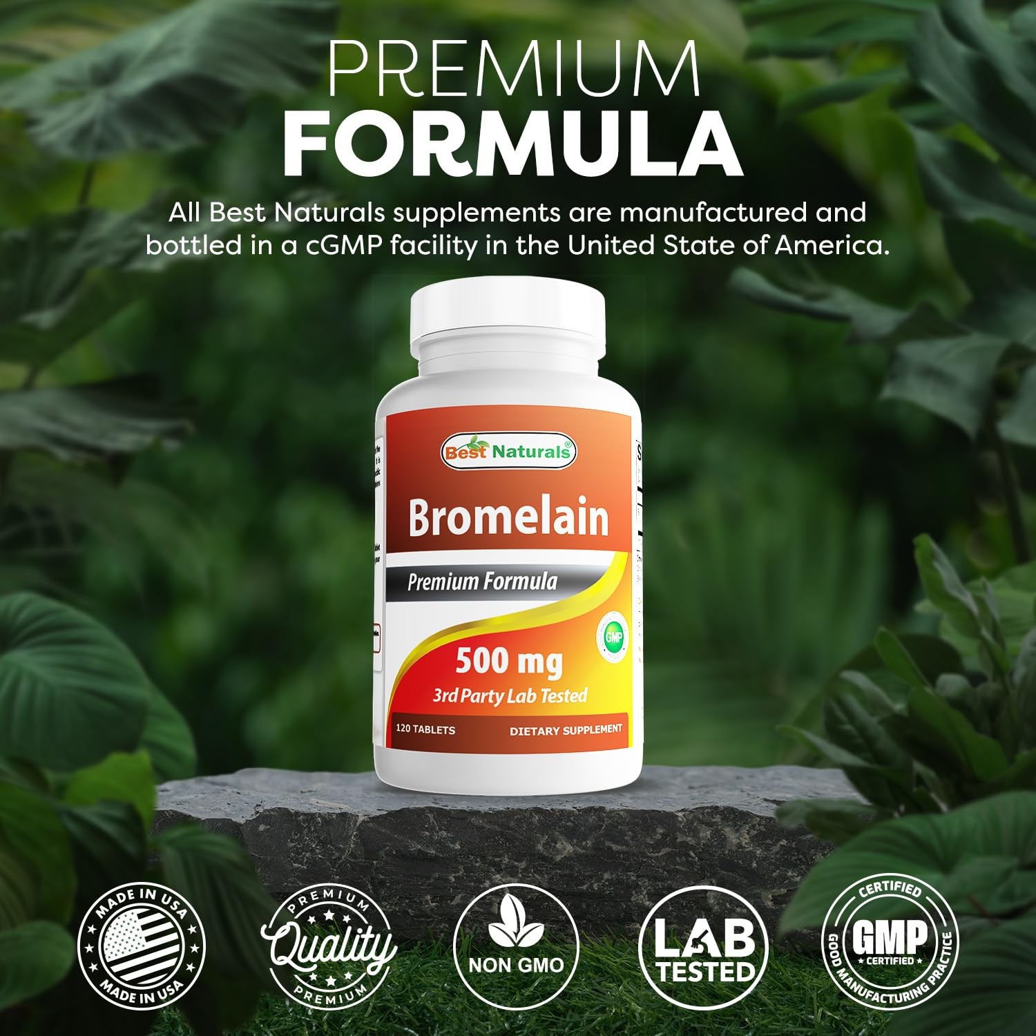 Best Naturals Bromelain 500mg 120 Tablets (120 Count 120 (Pack of 2)
