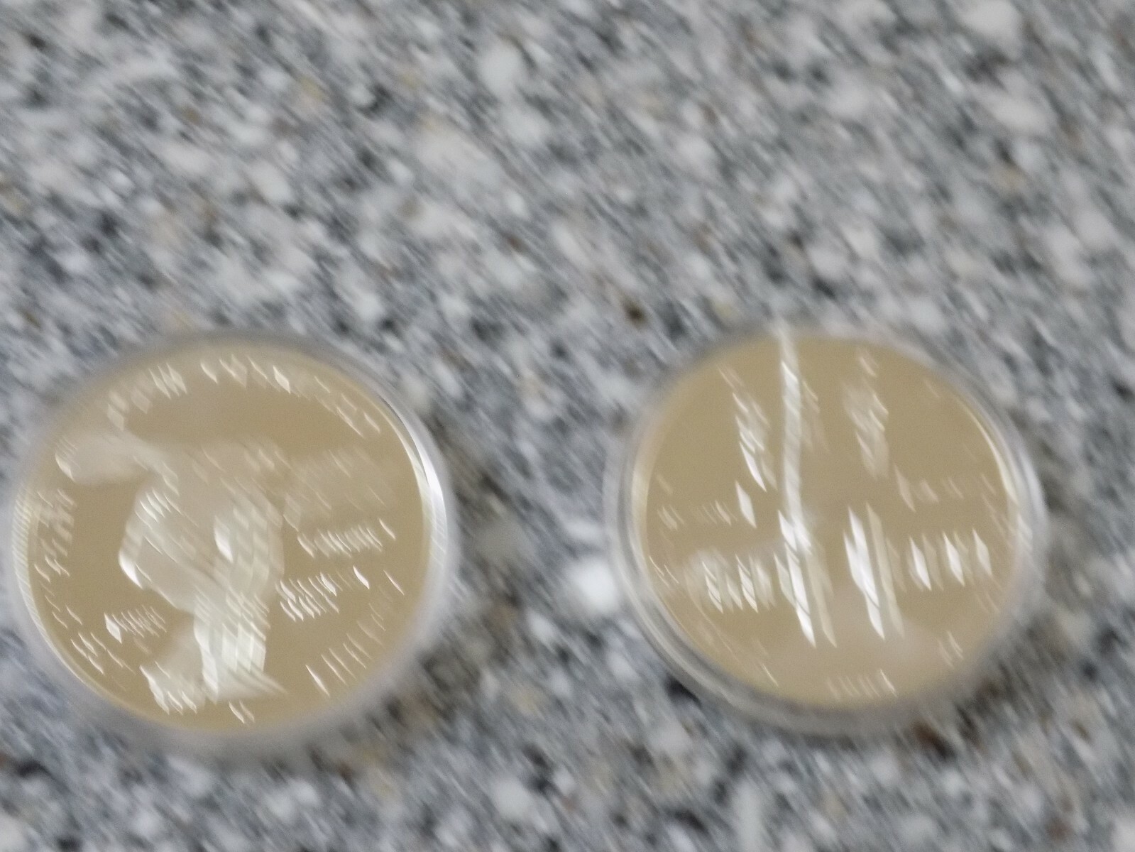 1984 Olympic Commemorative Silver Dollar Proof S Mint Mark Coins