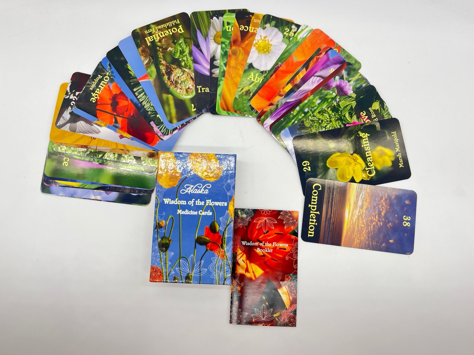 Alaska Wisdom Of The Flowers Medicine Cards Mandy Ramsey Missing One Card
