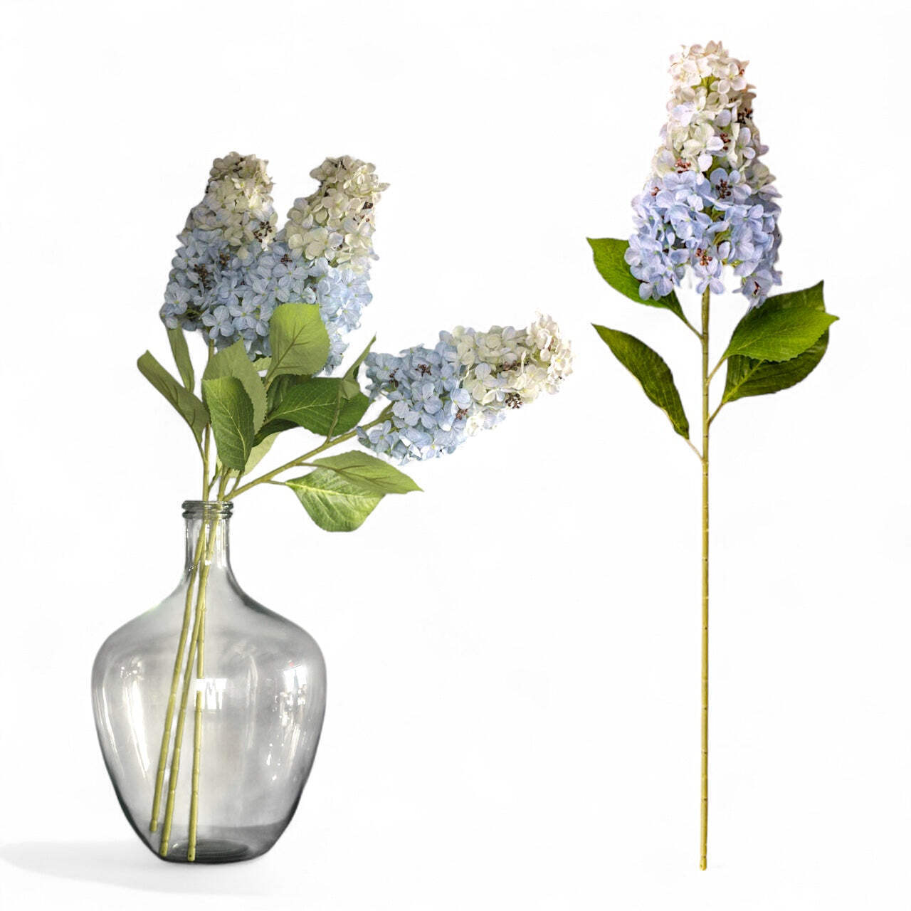 Light Blue Cone Hydrangea Stem