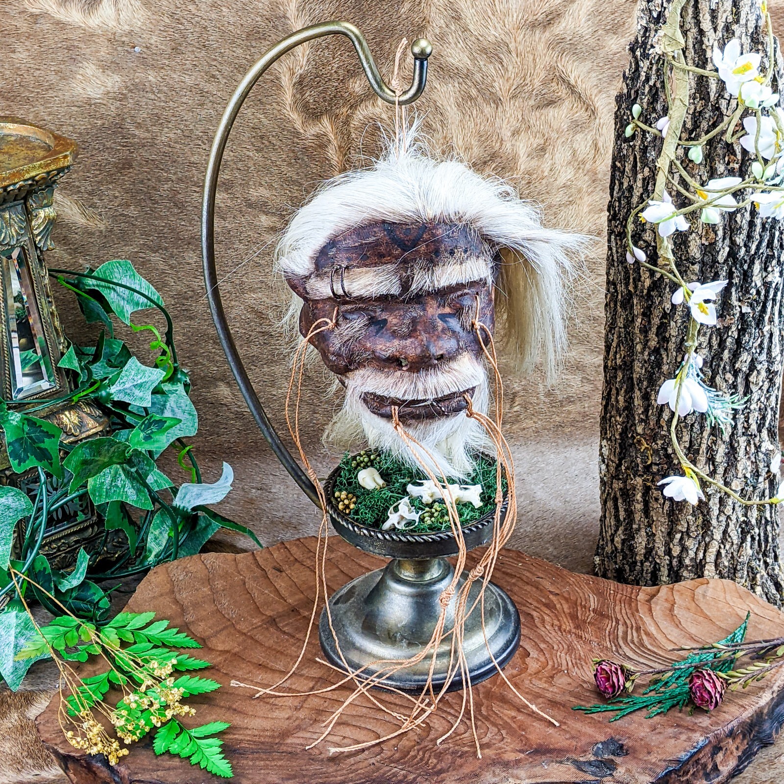 a60b Shrunken Head reproduction Tsantsa by Local Tribesmen Oddities curiosities