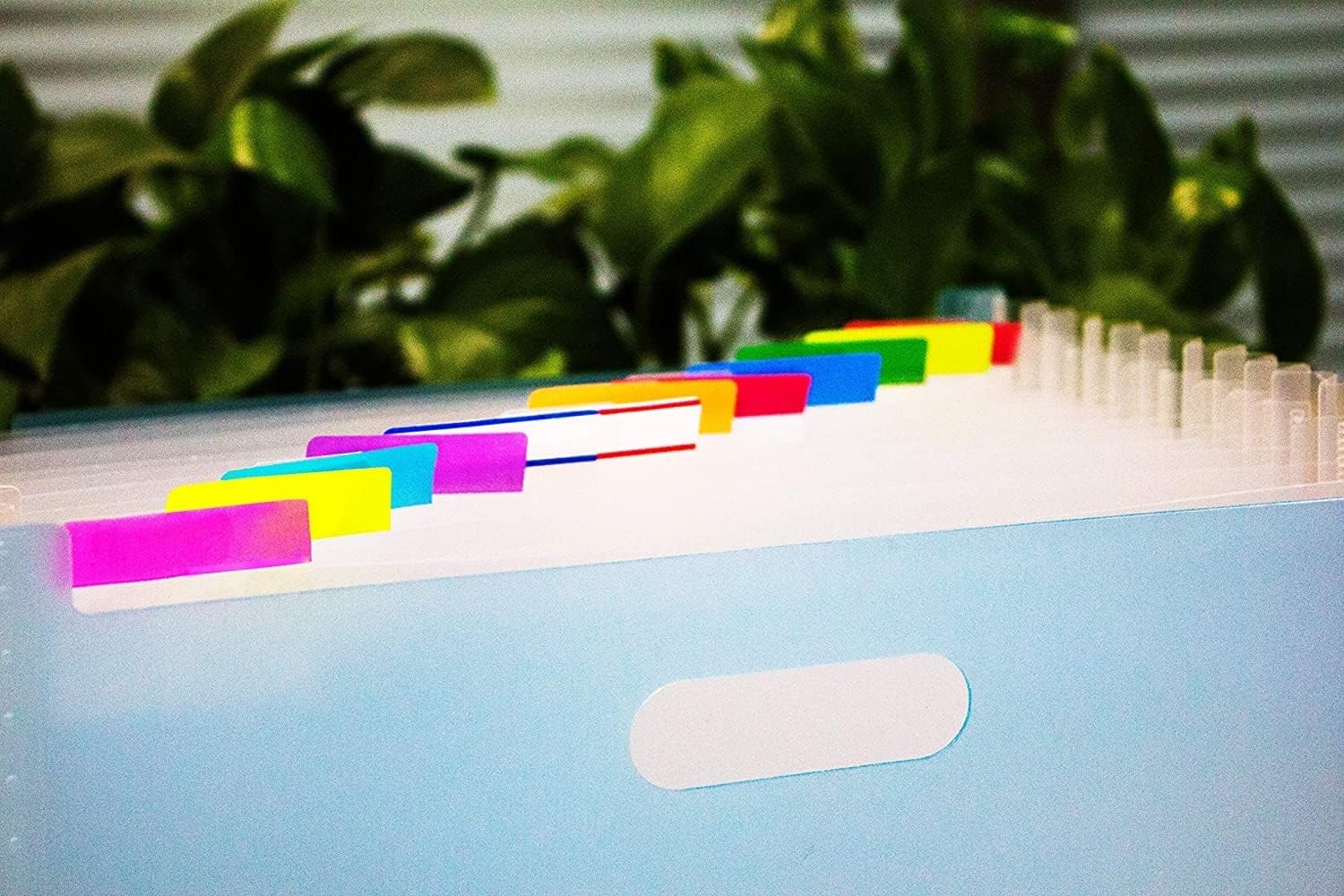 ELII 300 Pcs Tabs 2 Inch Sticky Index Tabs,Colorful for 2 inch, Vibrant