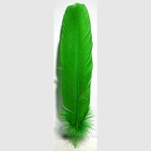 Green Feathers, Set of 10, 12 Inches