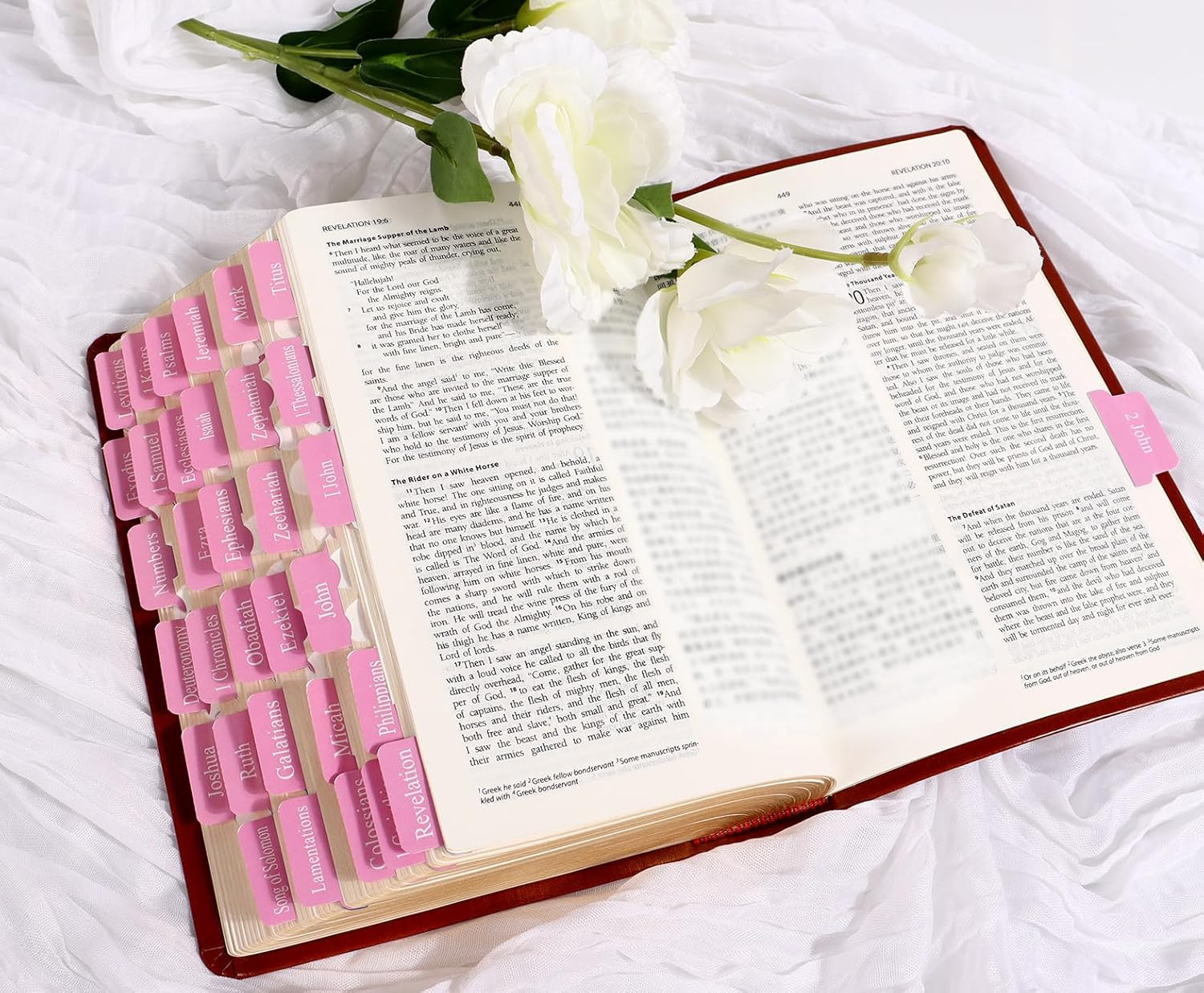 Pink Bible Tabs for Men Paper Index Tabs for Scripture Study & Chapter