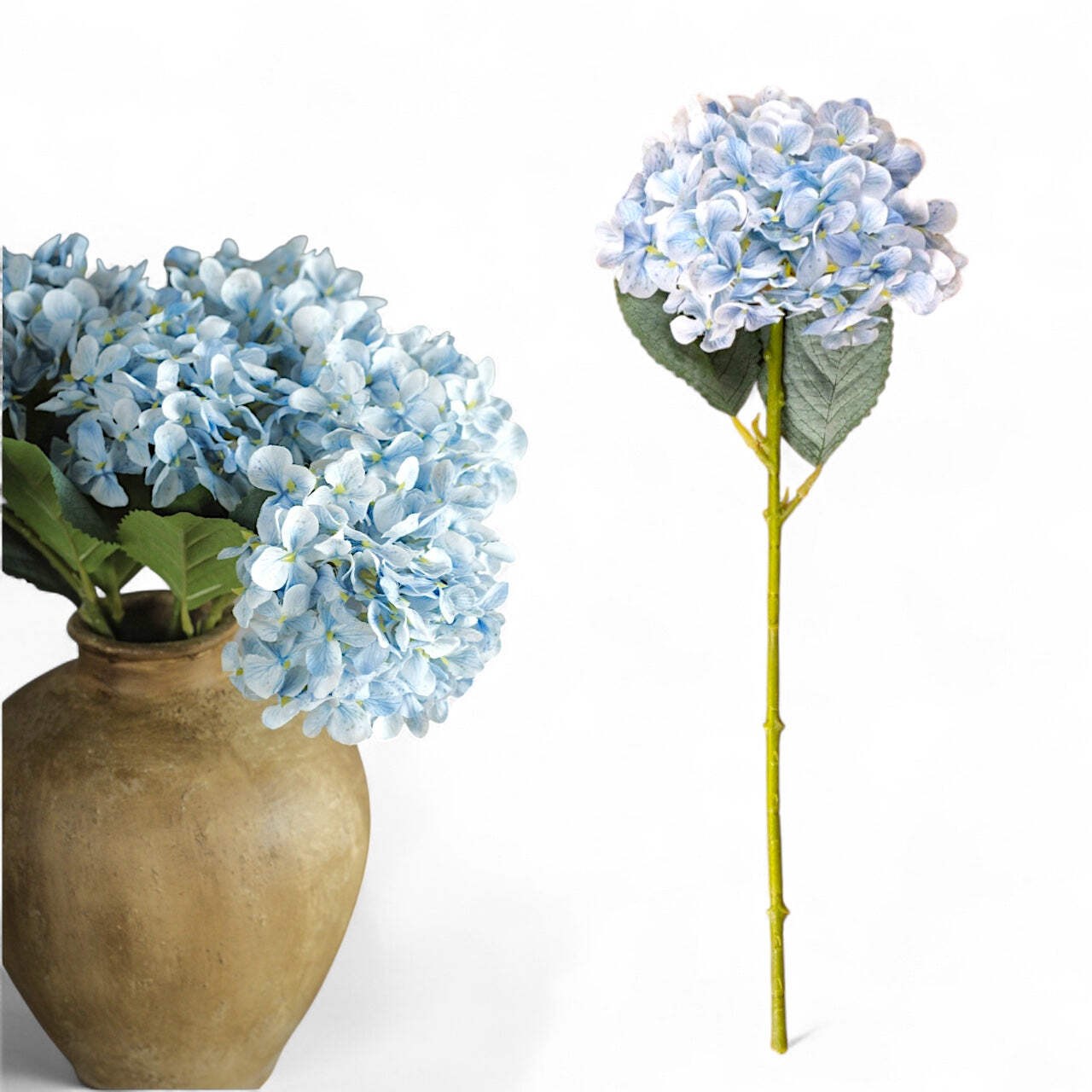 Light Blue Hydrangea Stem