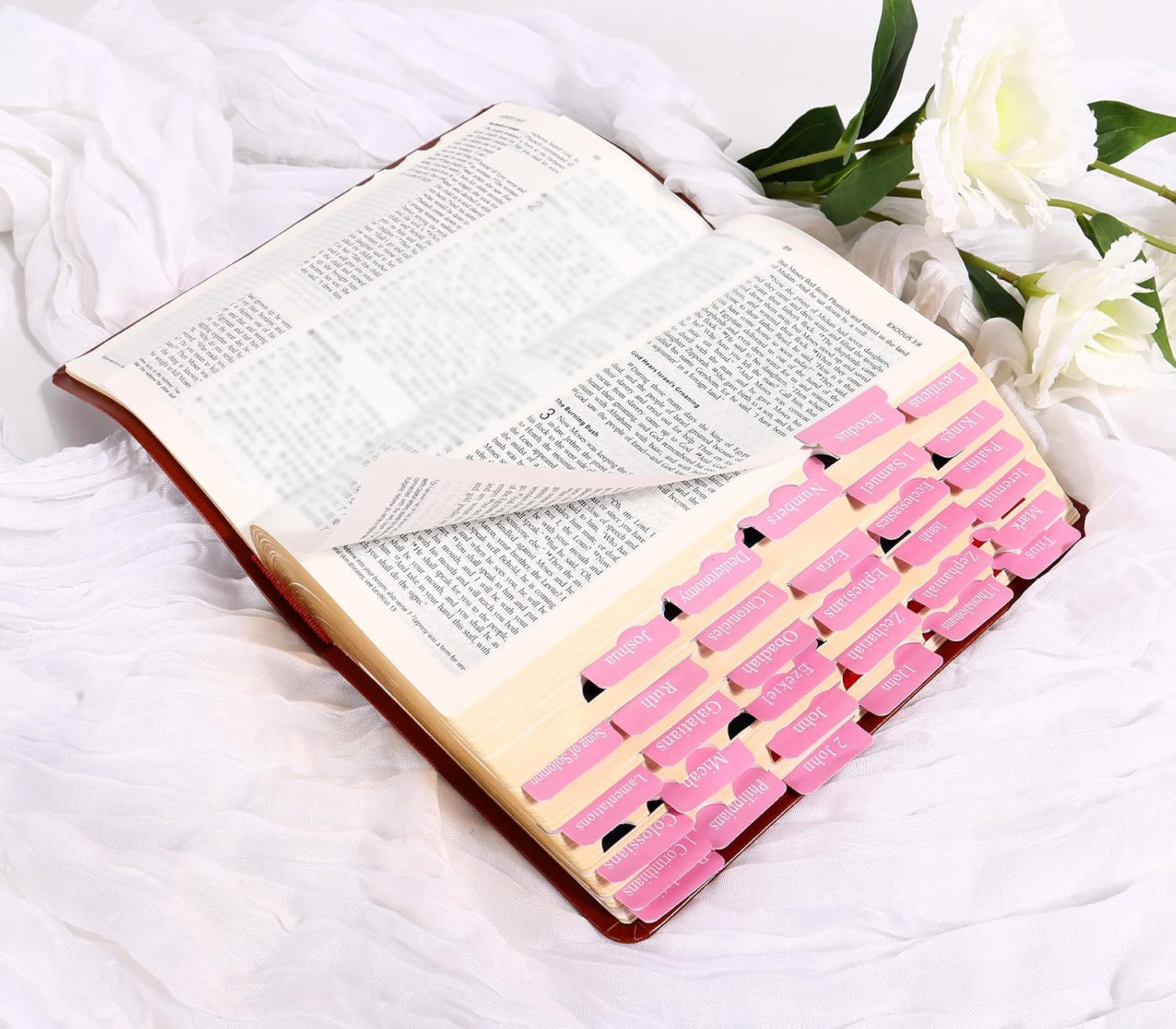 Pink Bible Tabs for Men Paper Index Tabs for Scripture Study & Chapter