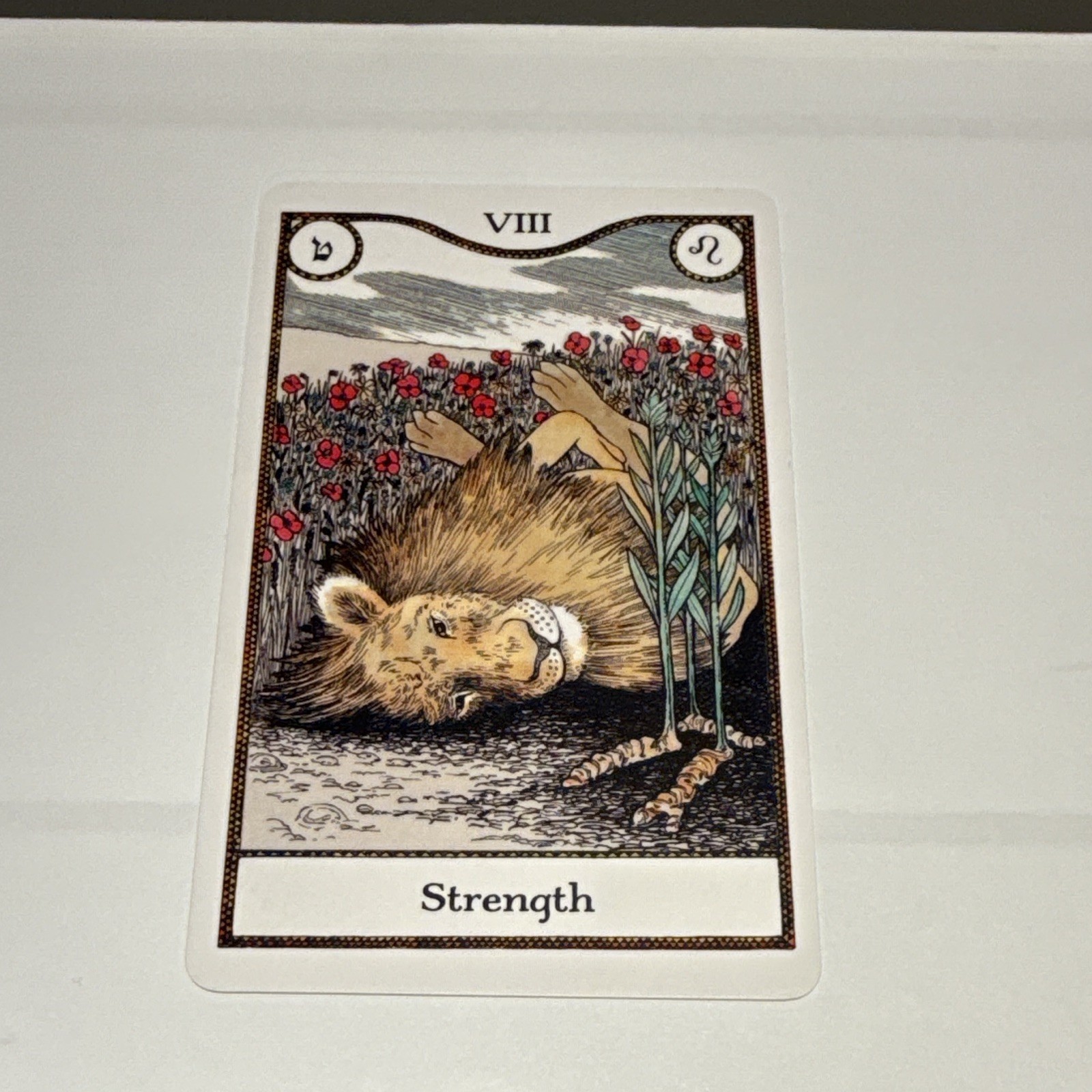 Elemental Power Tarot Deck by Melinda Lee Holm w/ 78 Cards & 64-Page Book