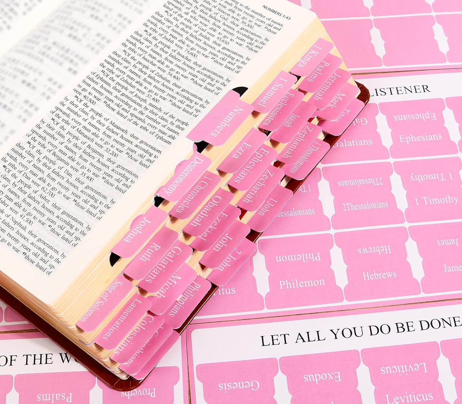 Pink Bible Tabs for Men Paper Index Tabs for Scripture Study & Chapter