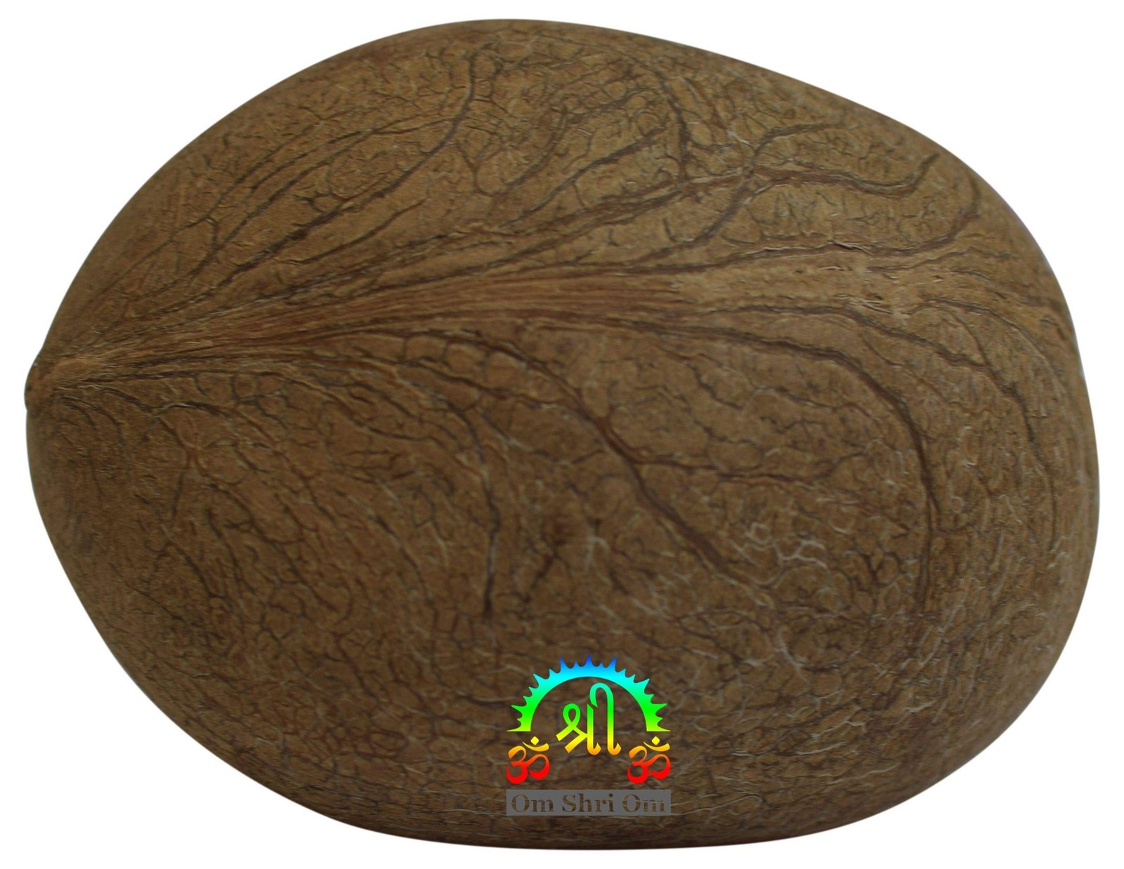 OM SHRI Dry Whole Coconut for Puja Indian Religious 1 Count (Pack of 1)