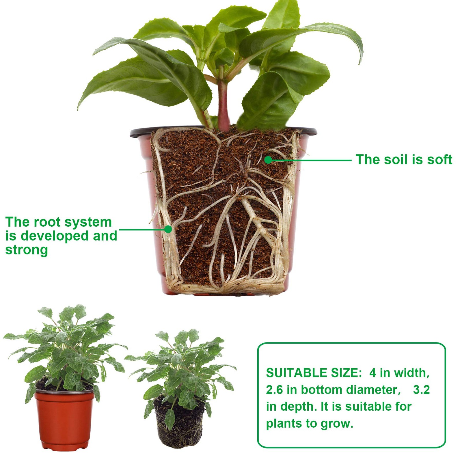 Augshy Nursery Pot, 110 Pcs 4″ Plastic Plants Pot,Seed Starting 4 Inches, Red